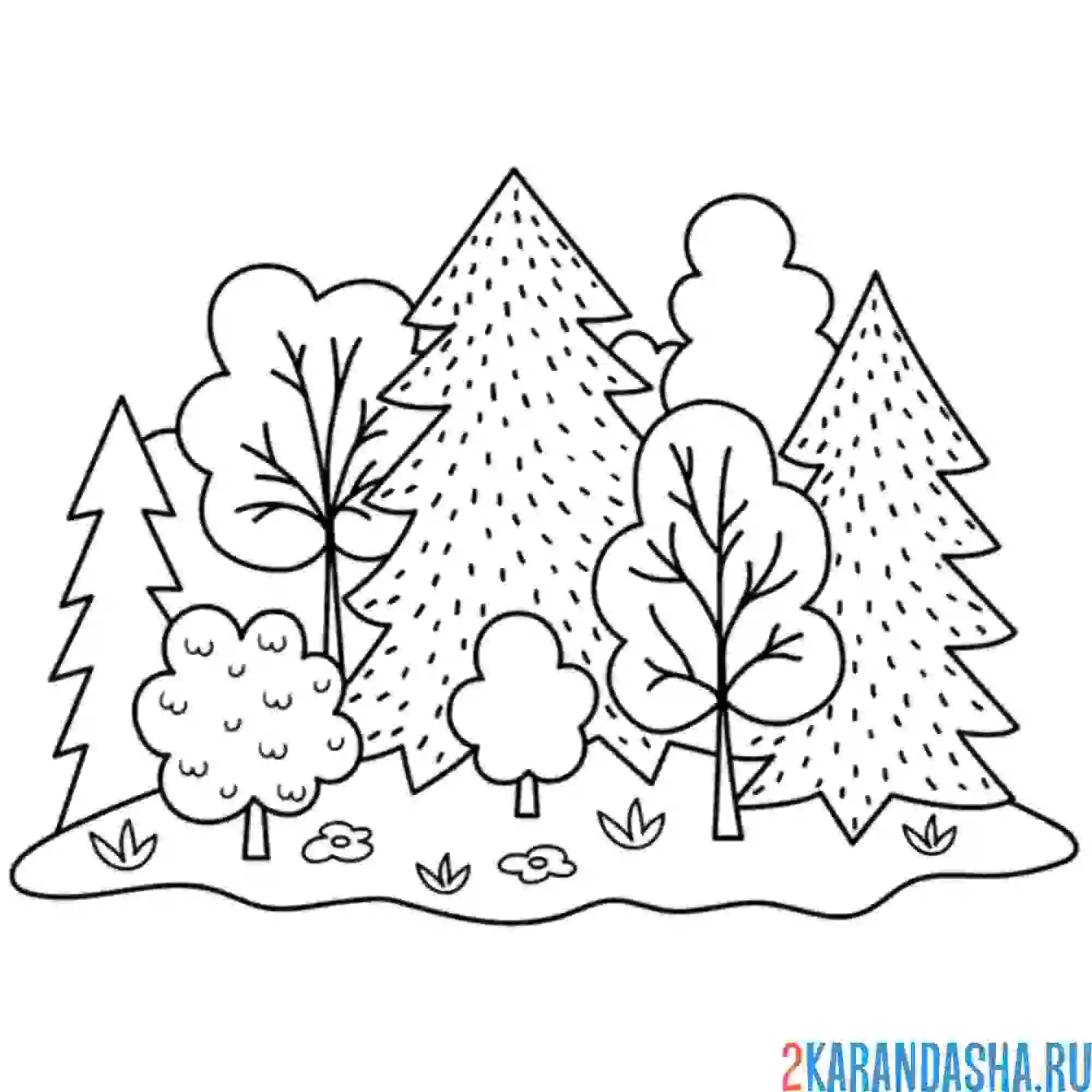 Раскраска лес на земле