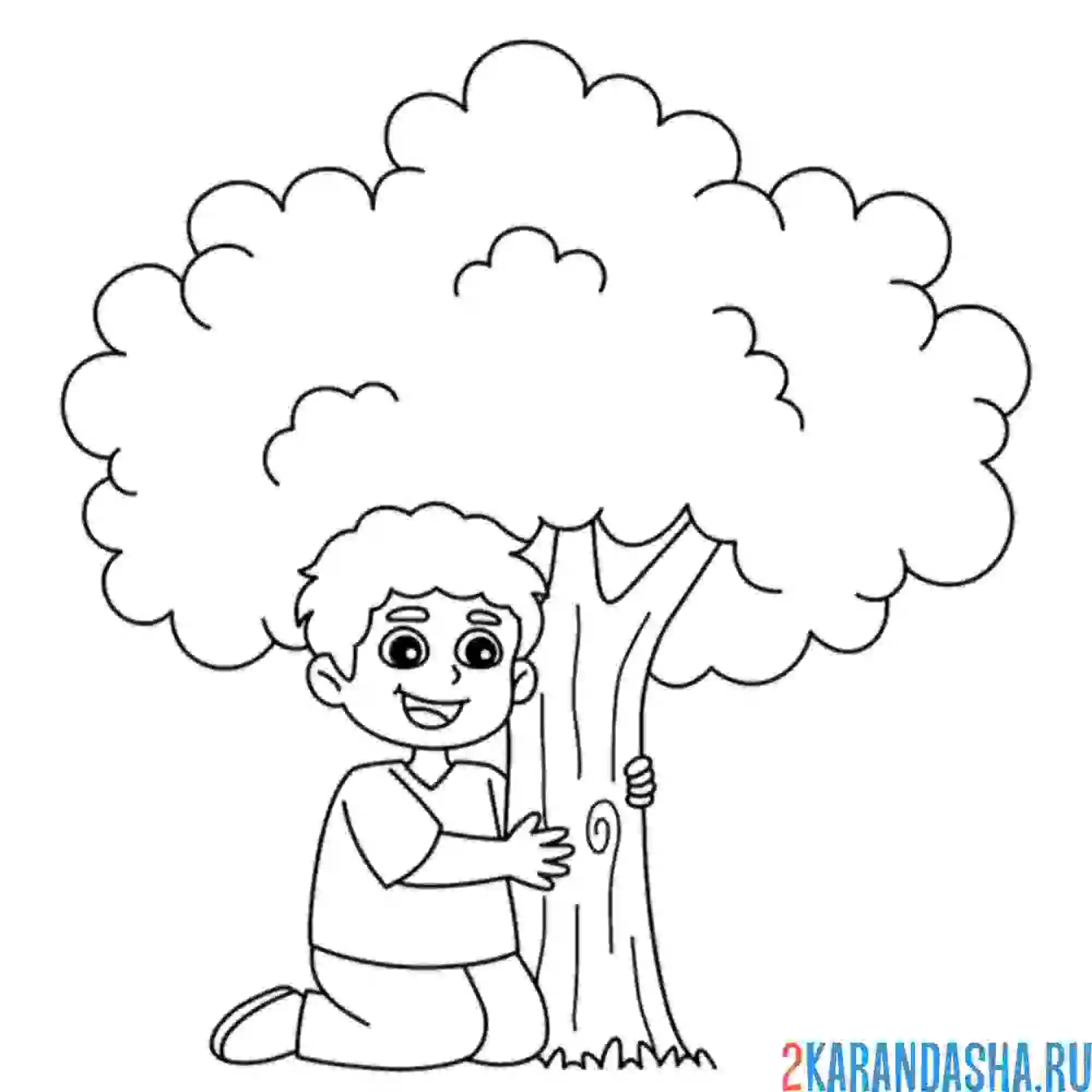 Раскраска дерево дает кислород