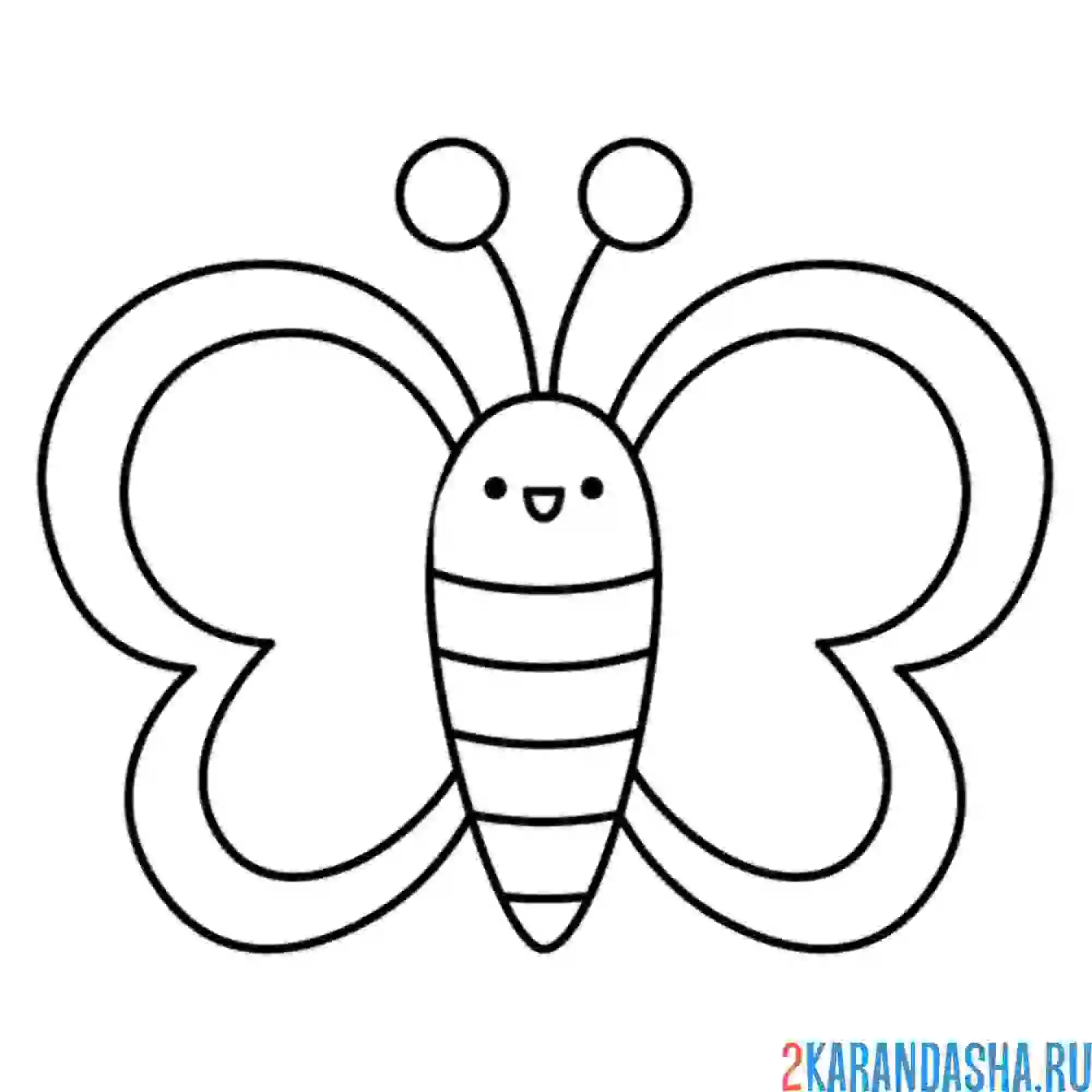 Раскраска маленькая бабочка