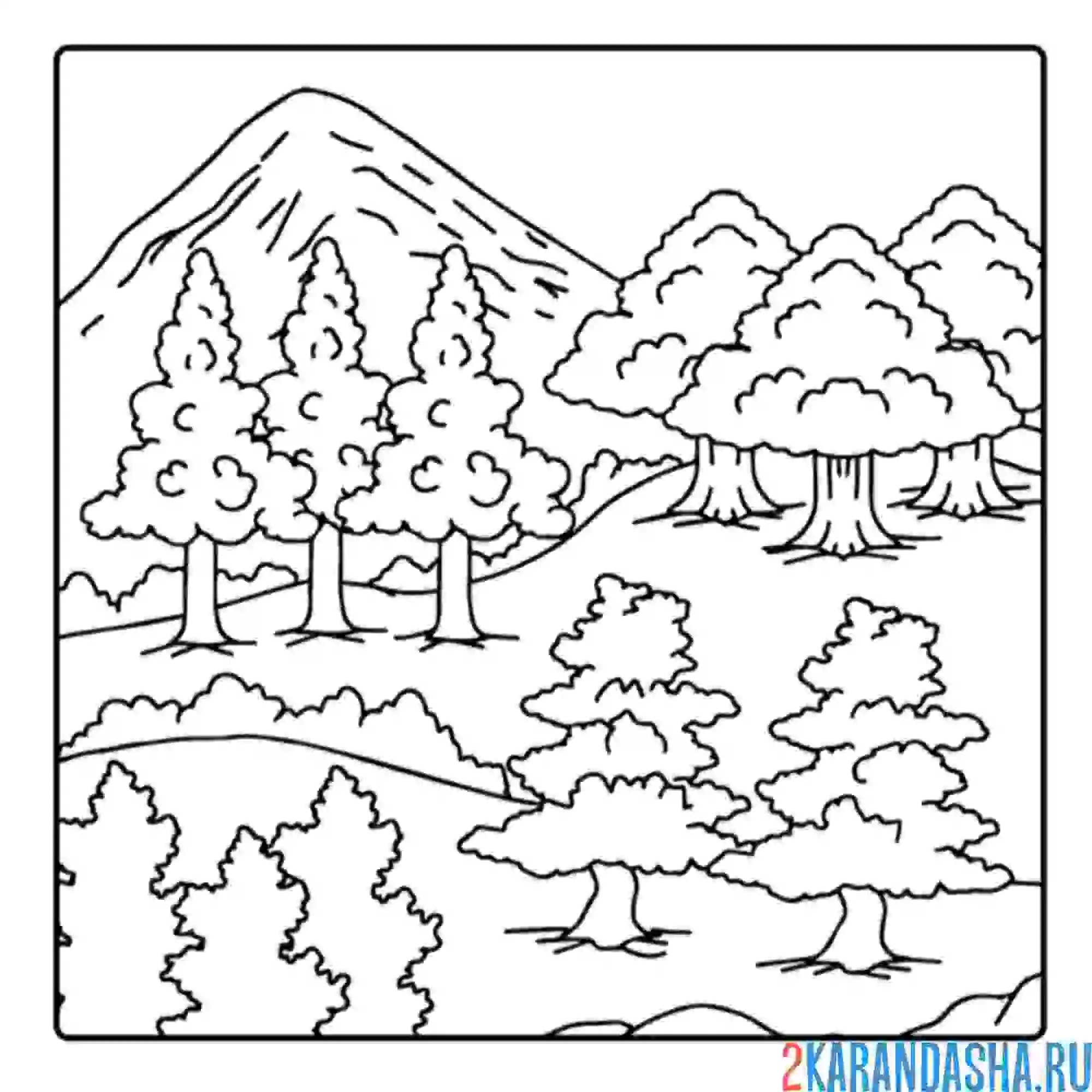 Раскраска сосны и горы