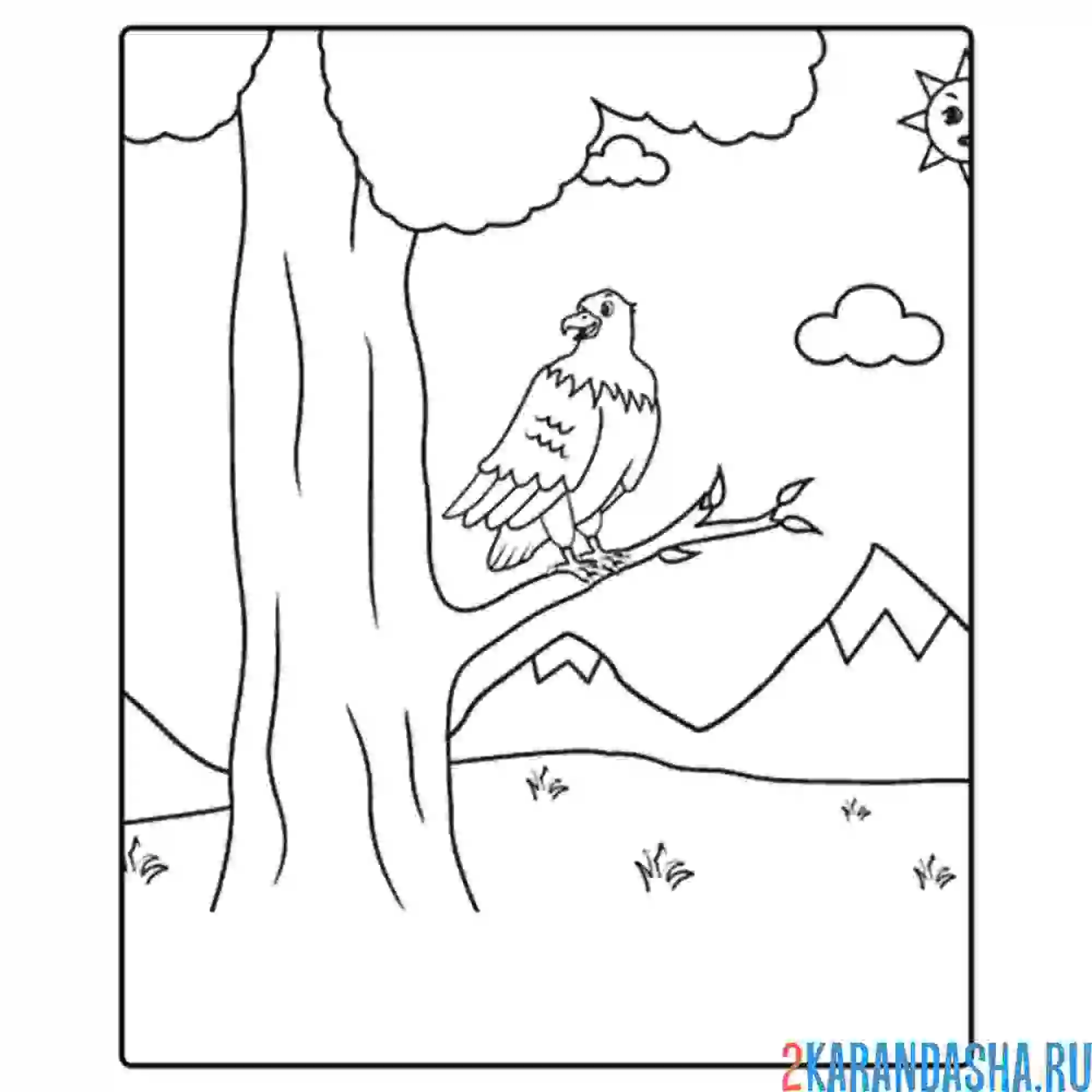Раскраска горный орел