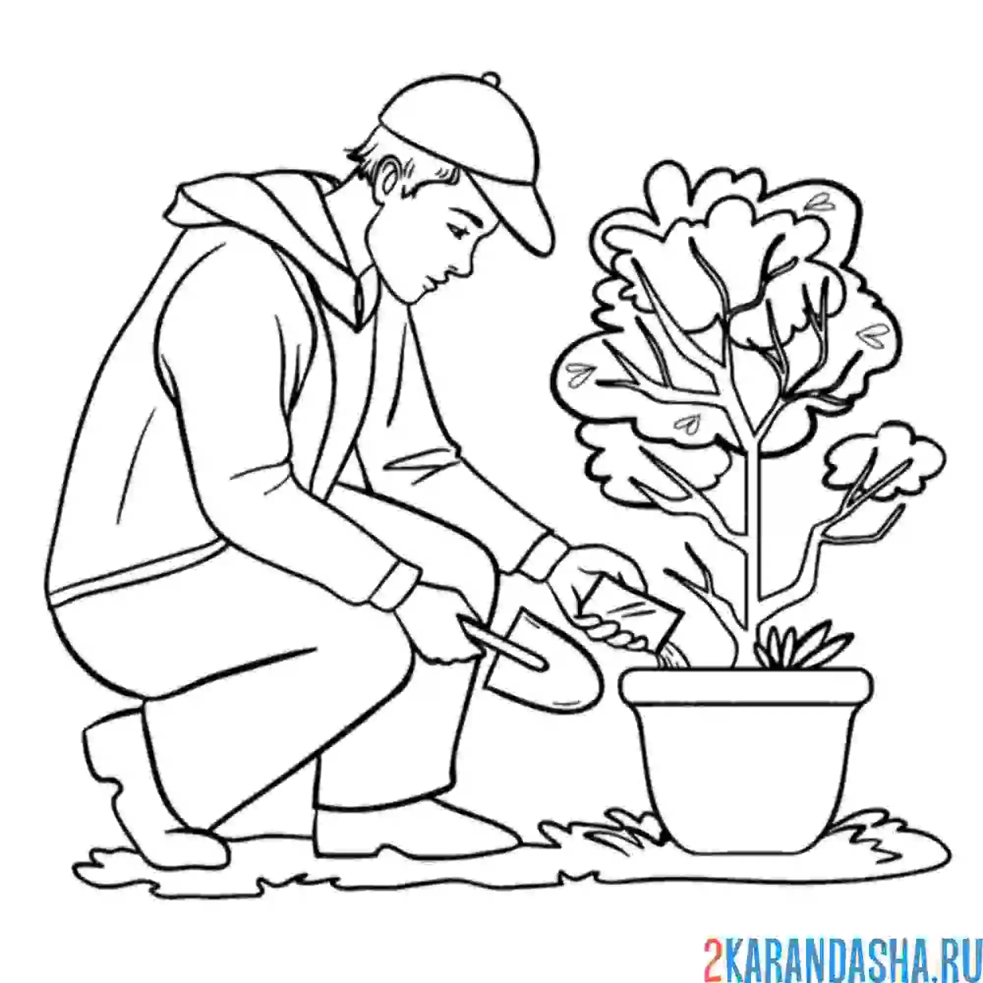 Раскраска сажай деревья экология