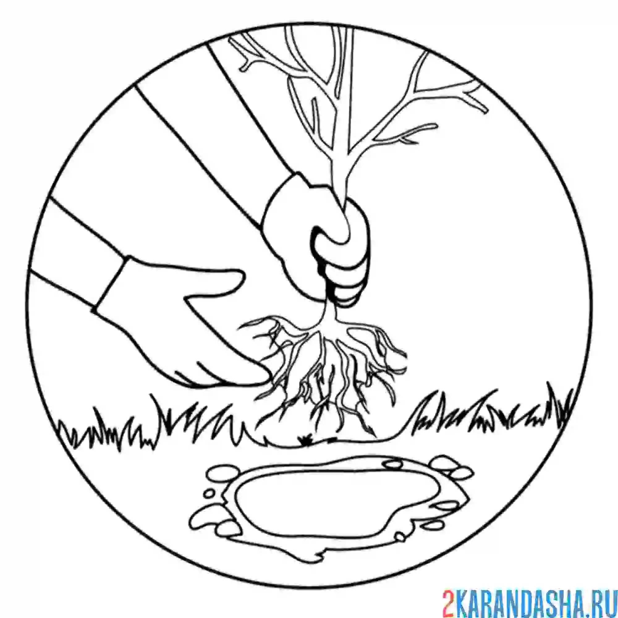 Раскраска посадка деревьев экология