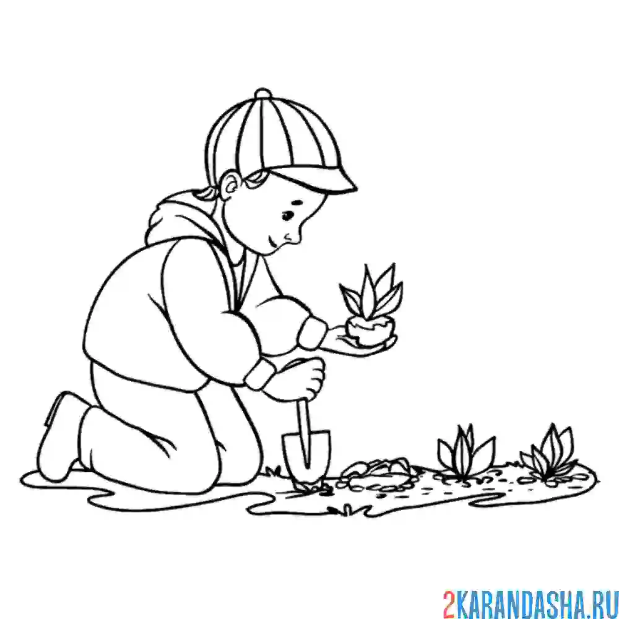 Раскраска высадка деревьев