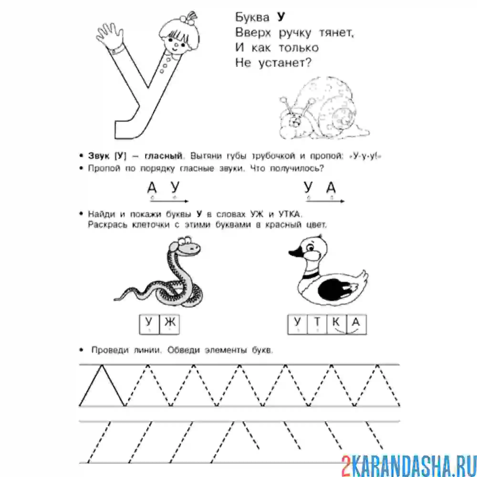 Раскраска звук у пропись