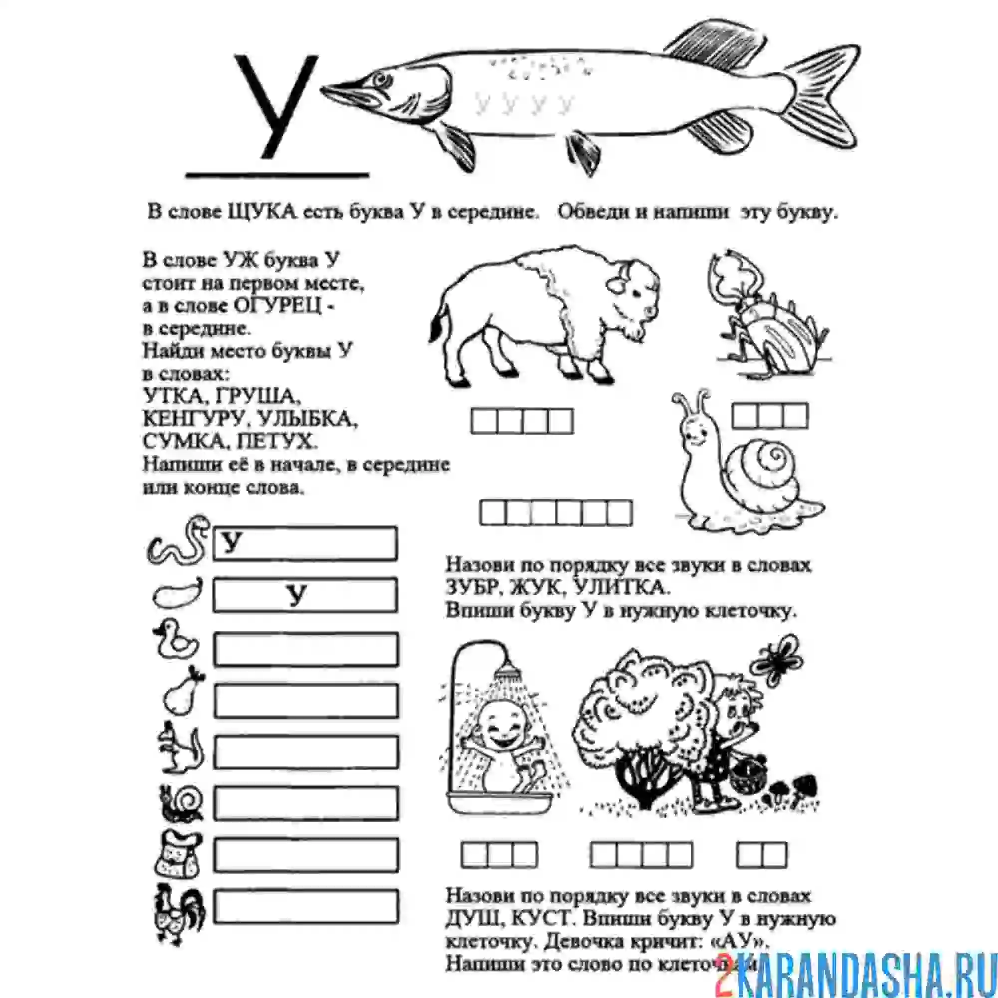 Раскраска задание с буквой у