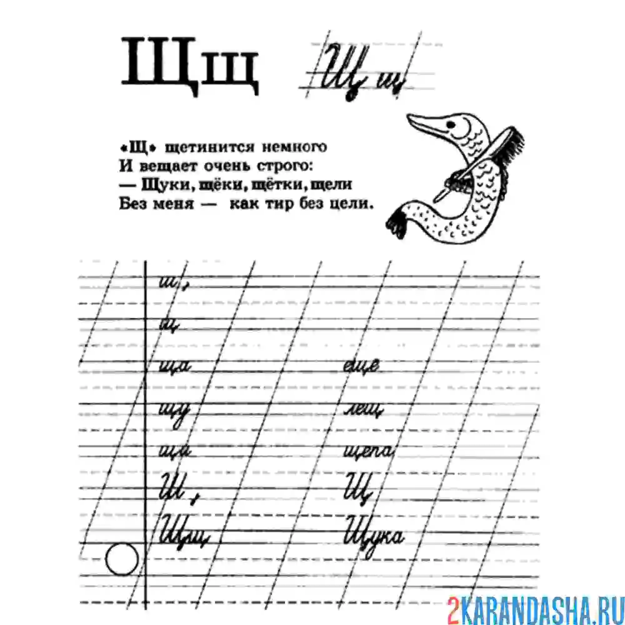Раскраска буква щ пропись и слоги