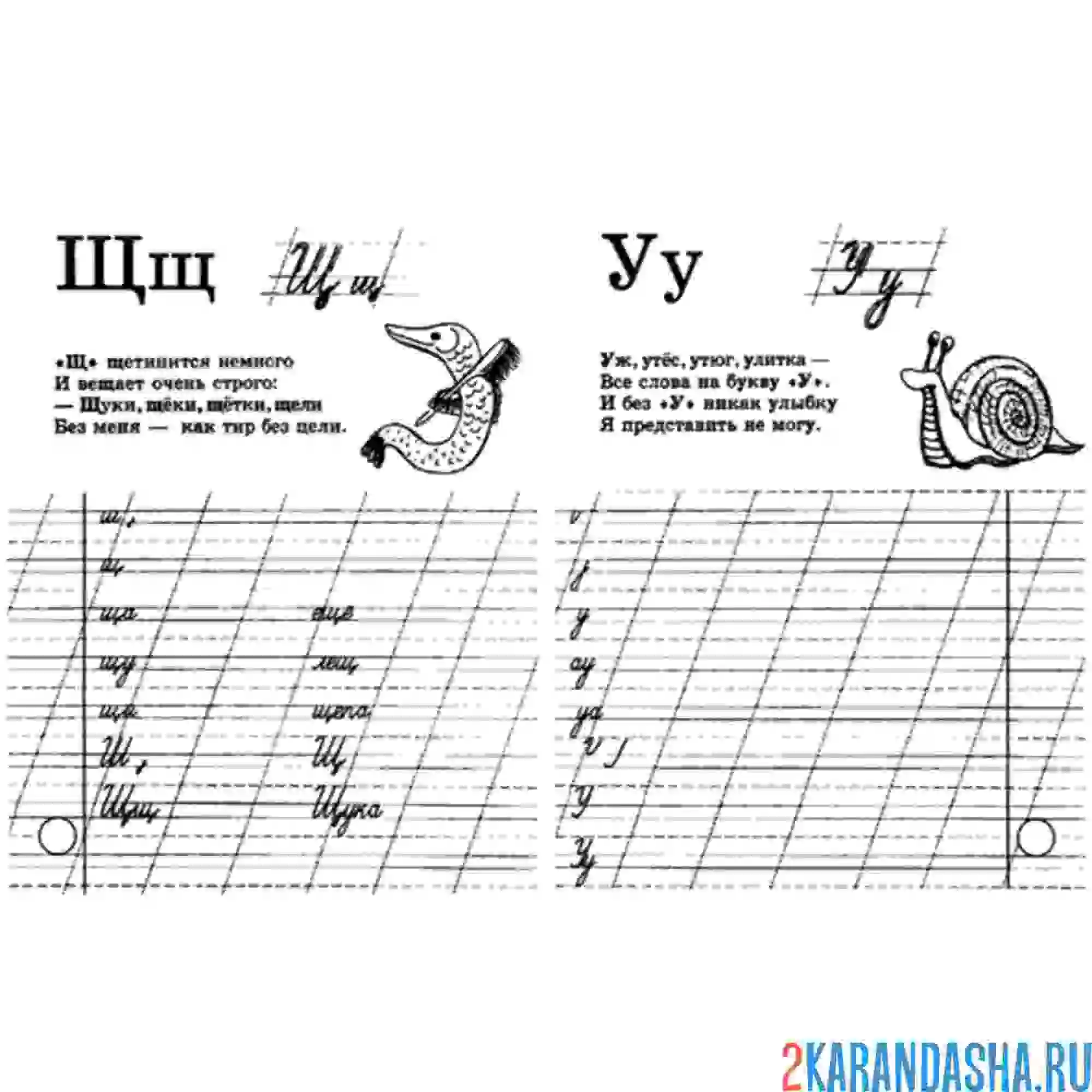 Раскраска пропись щ у