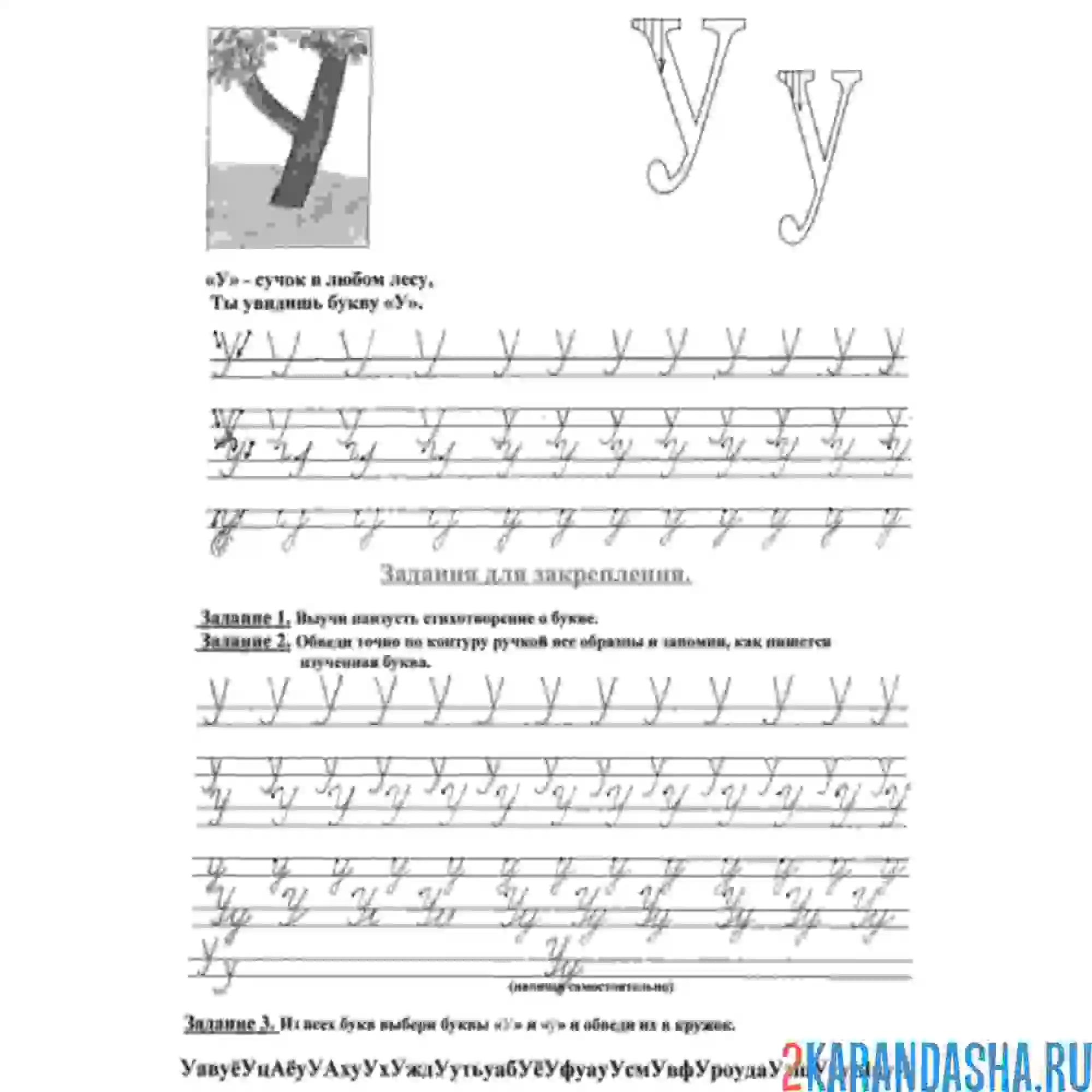 Раскраска строчная и прописная буква у в прописи