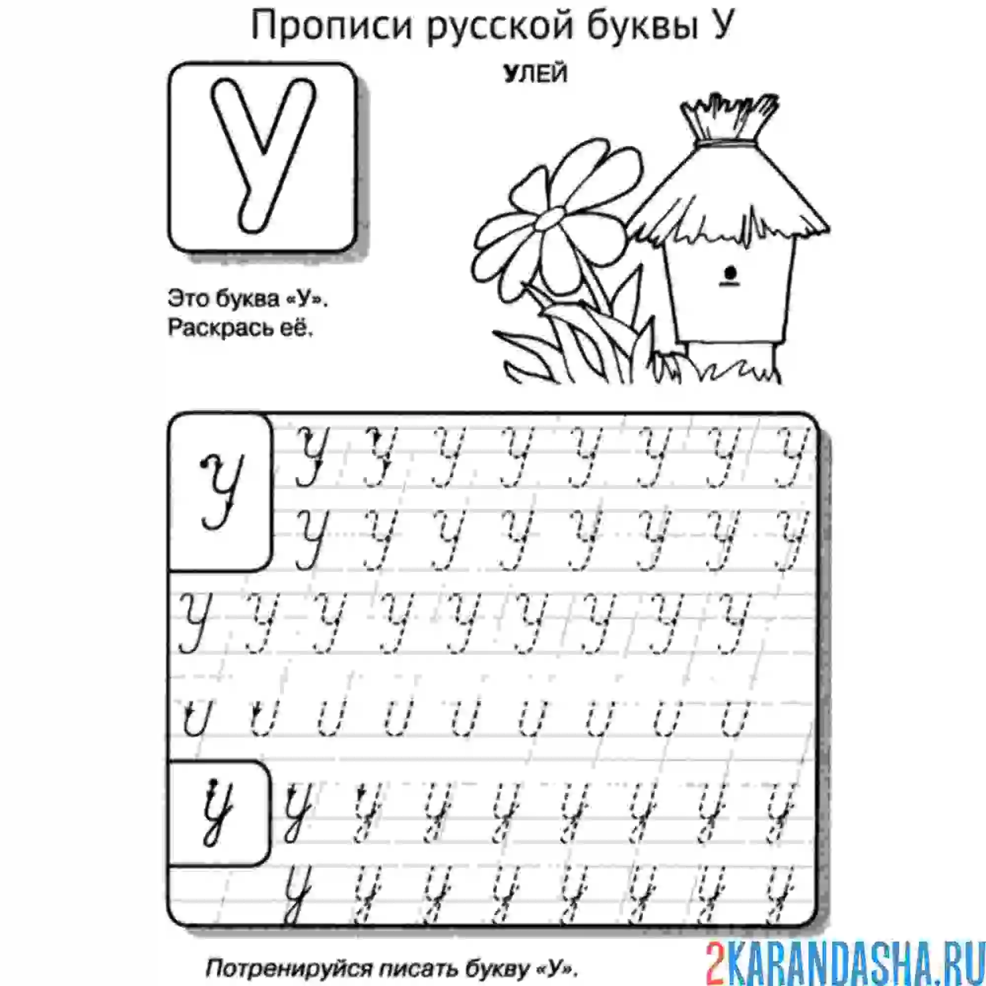 Раскраска пропись буква у с картинкой