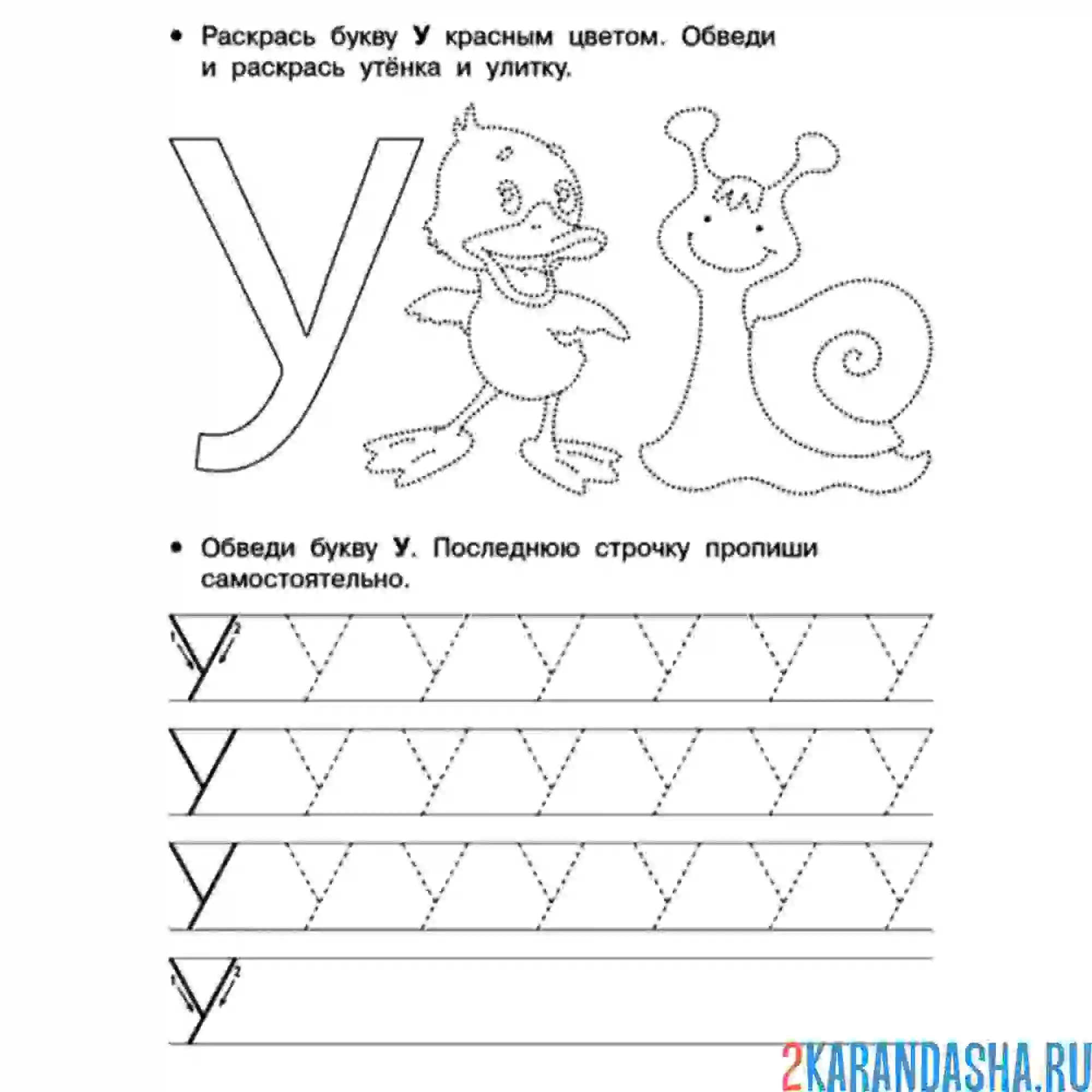 Раскраска обведи буквы у и рисунок