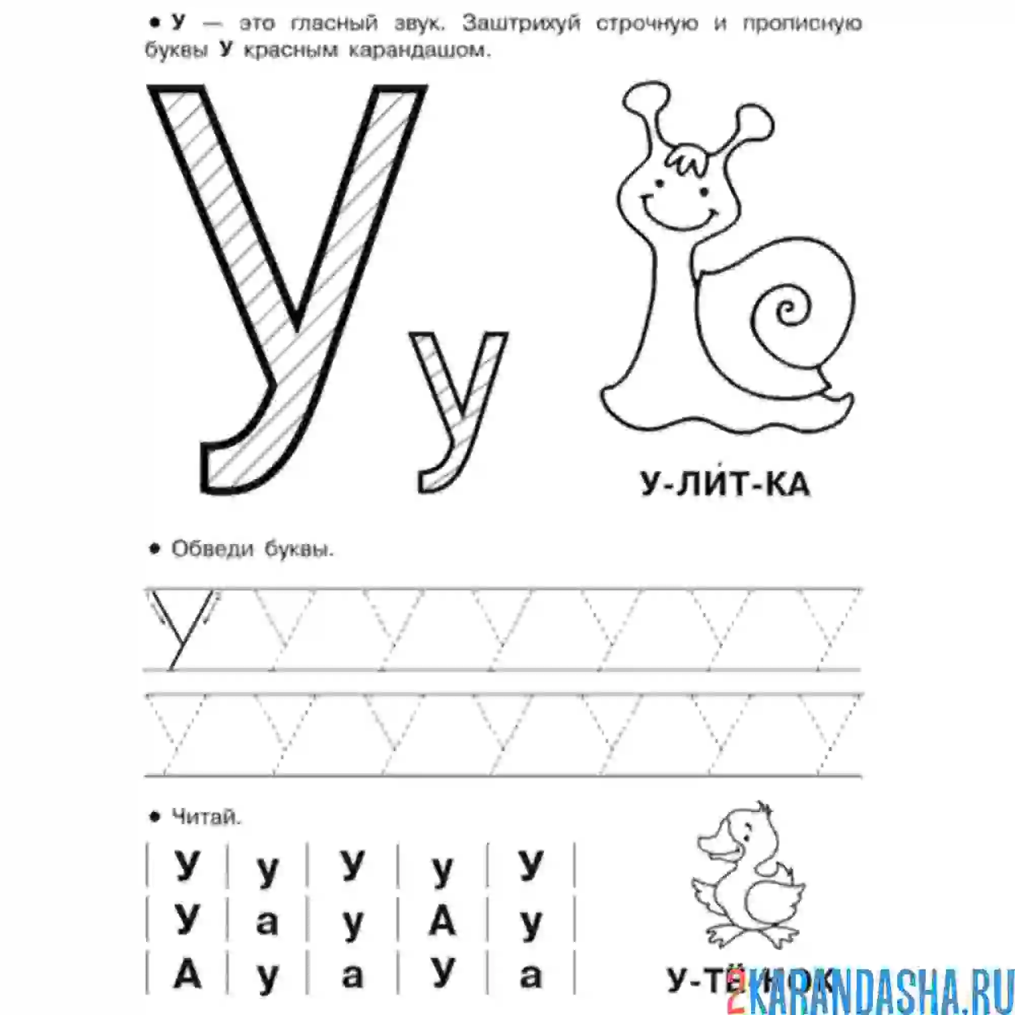 Раскраска буква у с улиткой пропись