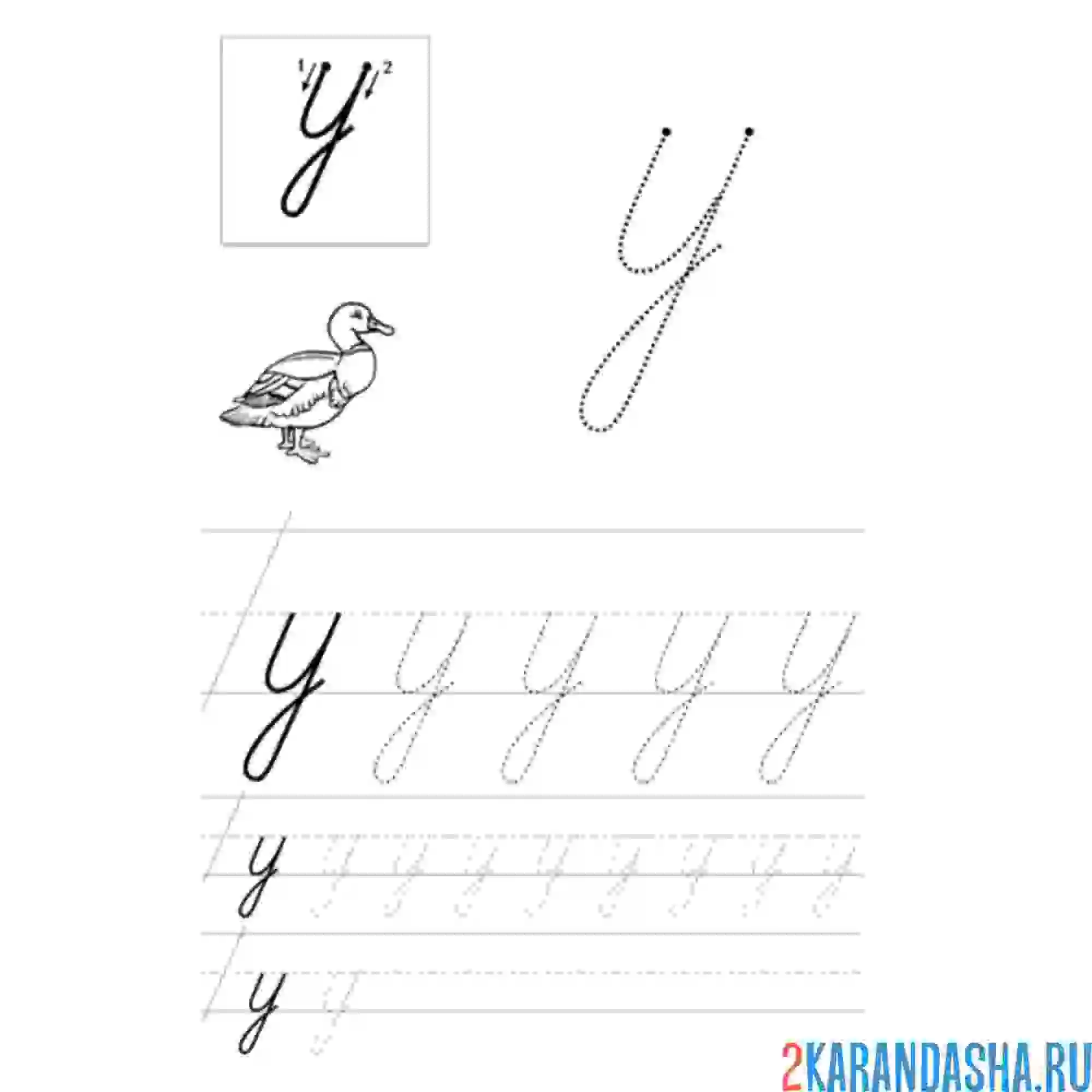 Раскраска буква у строчная маленькая