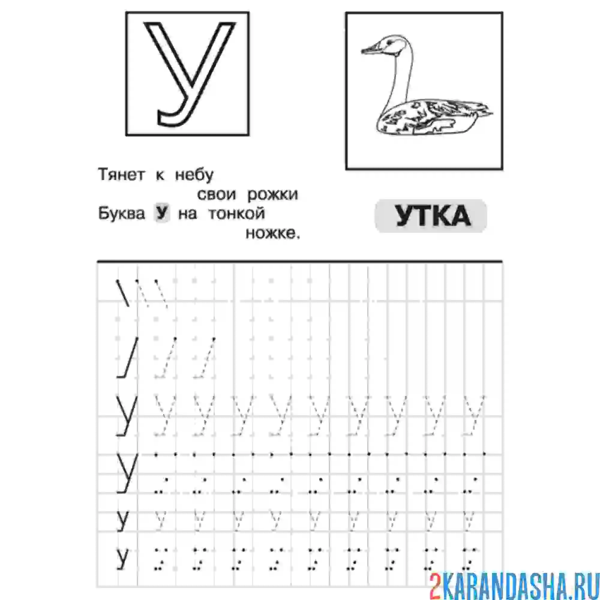 Раскраска буква у утка в прописи