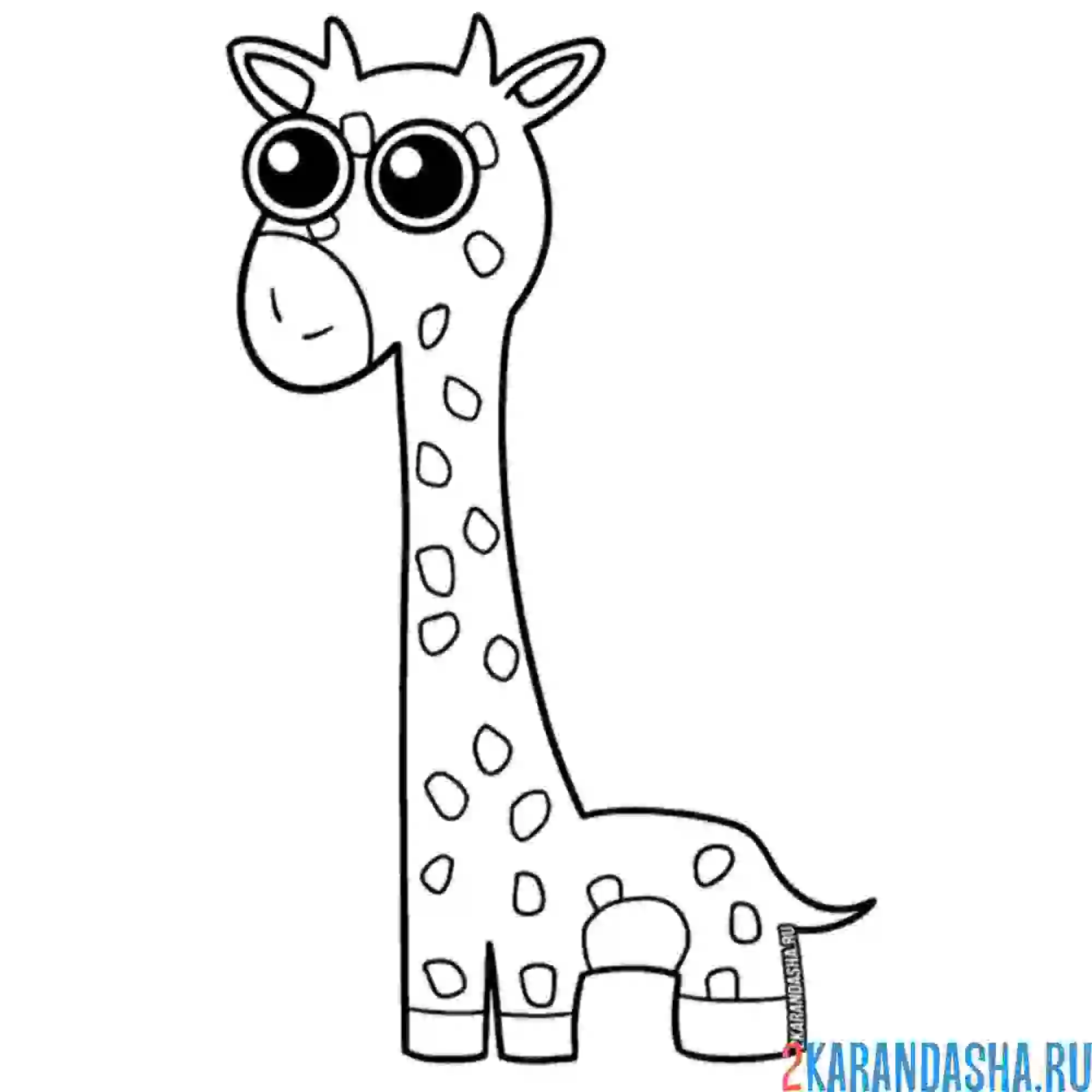 Раскраска giraffe melman банбан жираф мелман