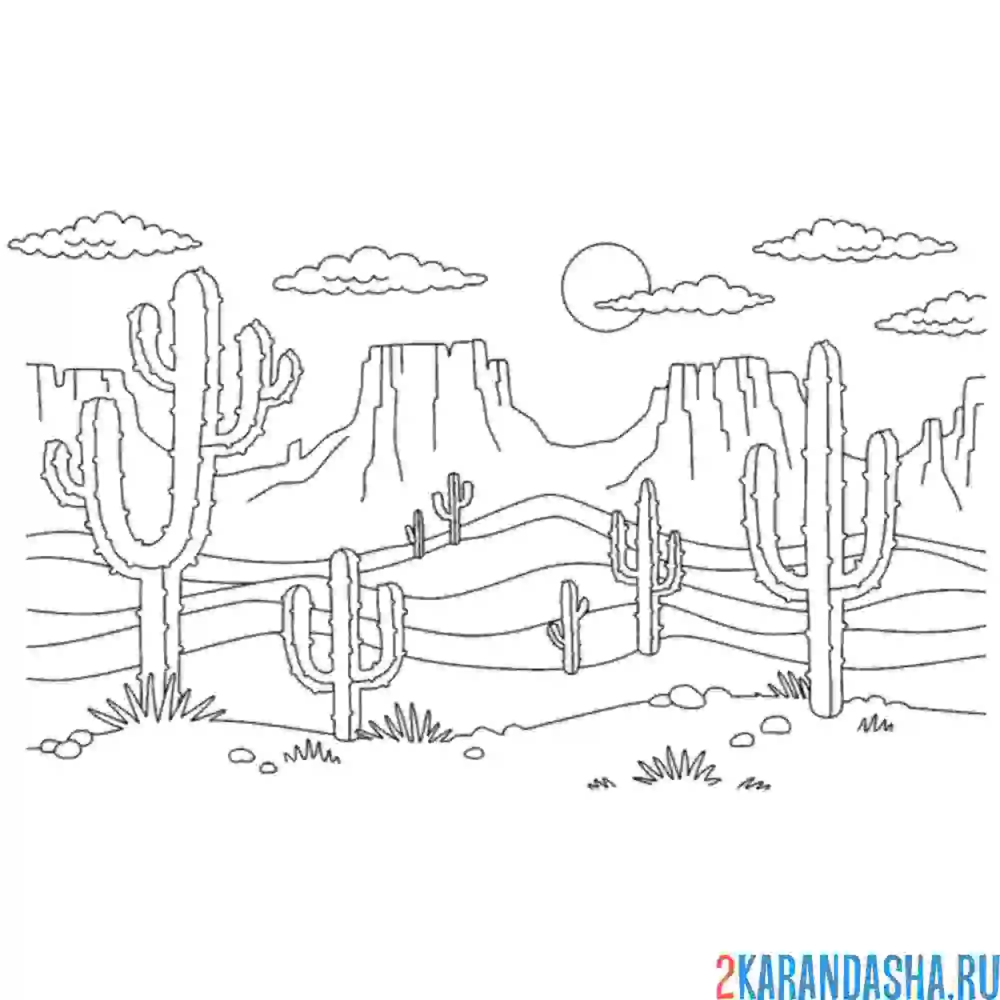 Раскраска пейзаж пустыня