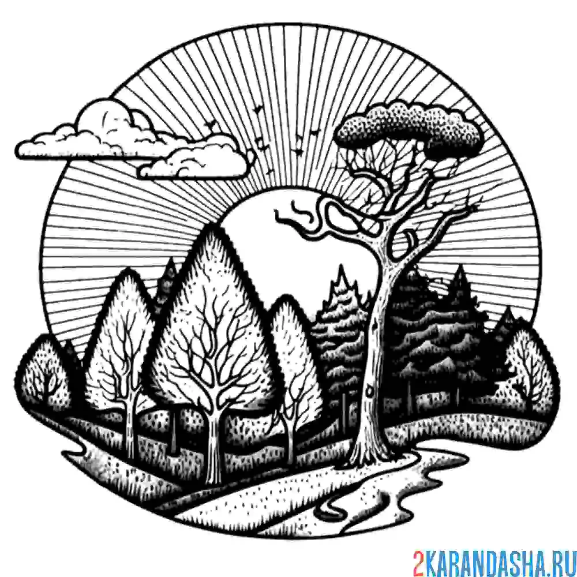 Раскраска пейзаж летний лес