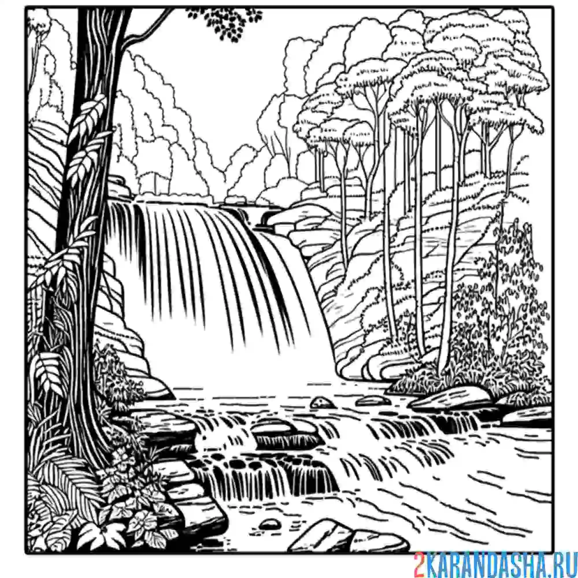 Раскраска лесной пейзаж с водопадом