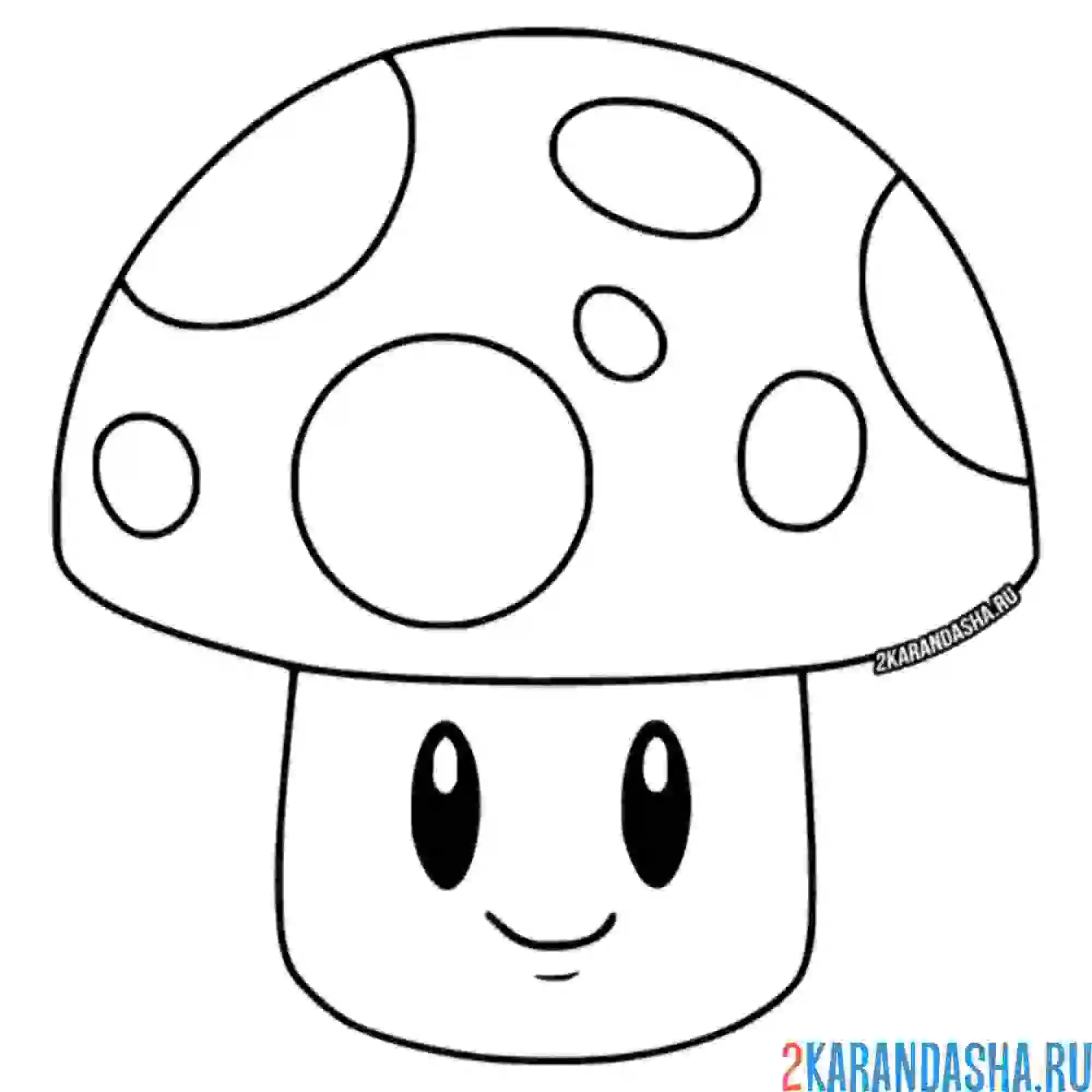 Раскраска солнечный гриб