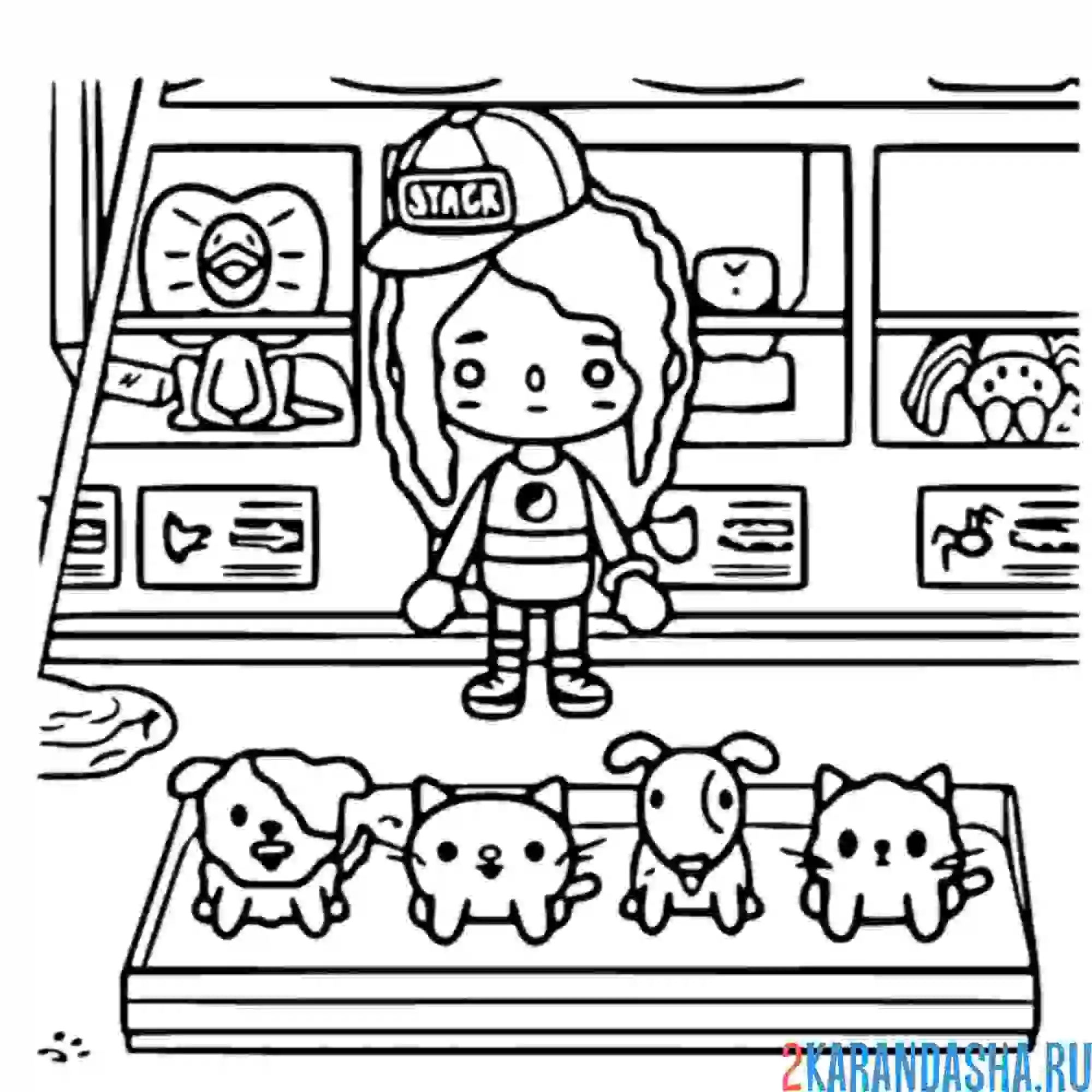 Раскраска зоопарк тока бока