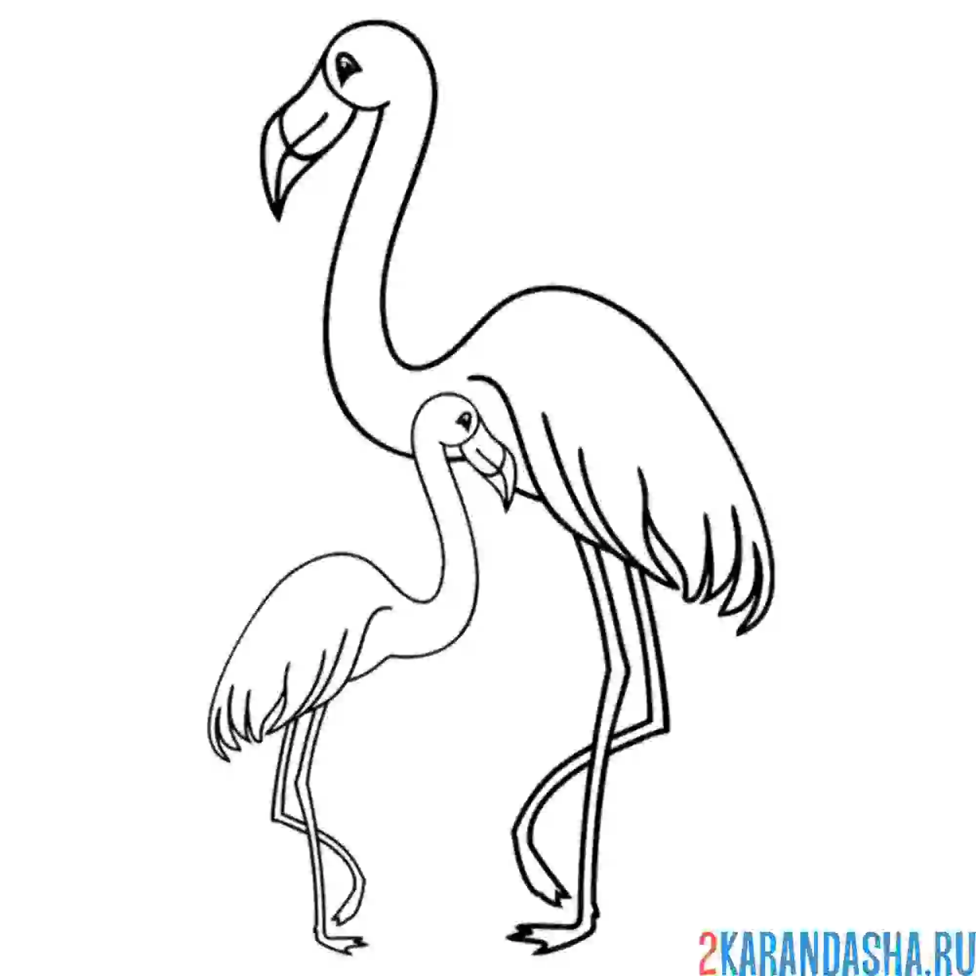 Раскраска мама и малыш фламинго