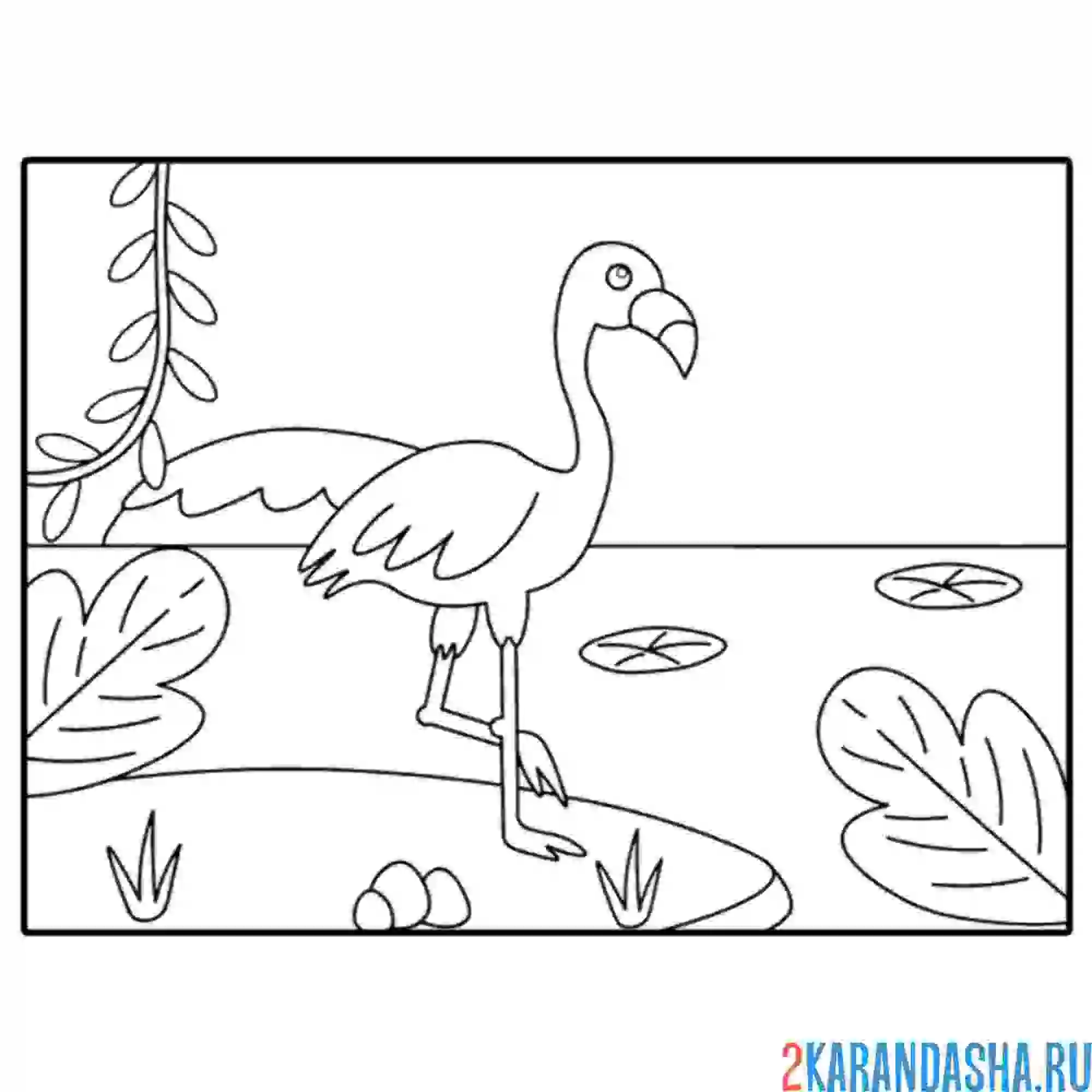 Раскраска фламинго на водоеме