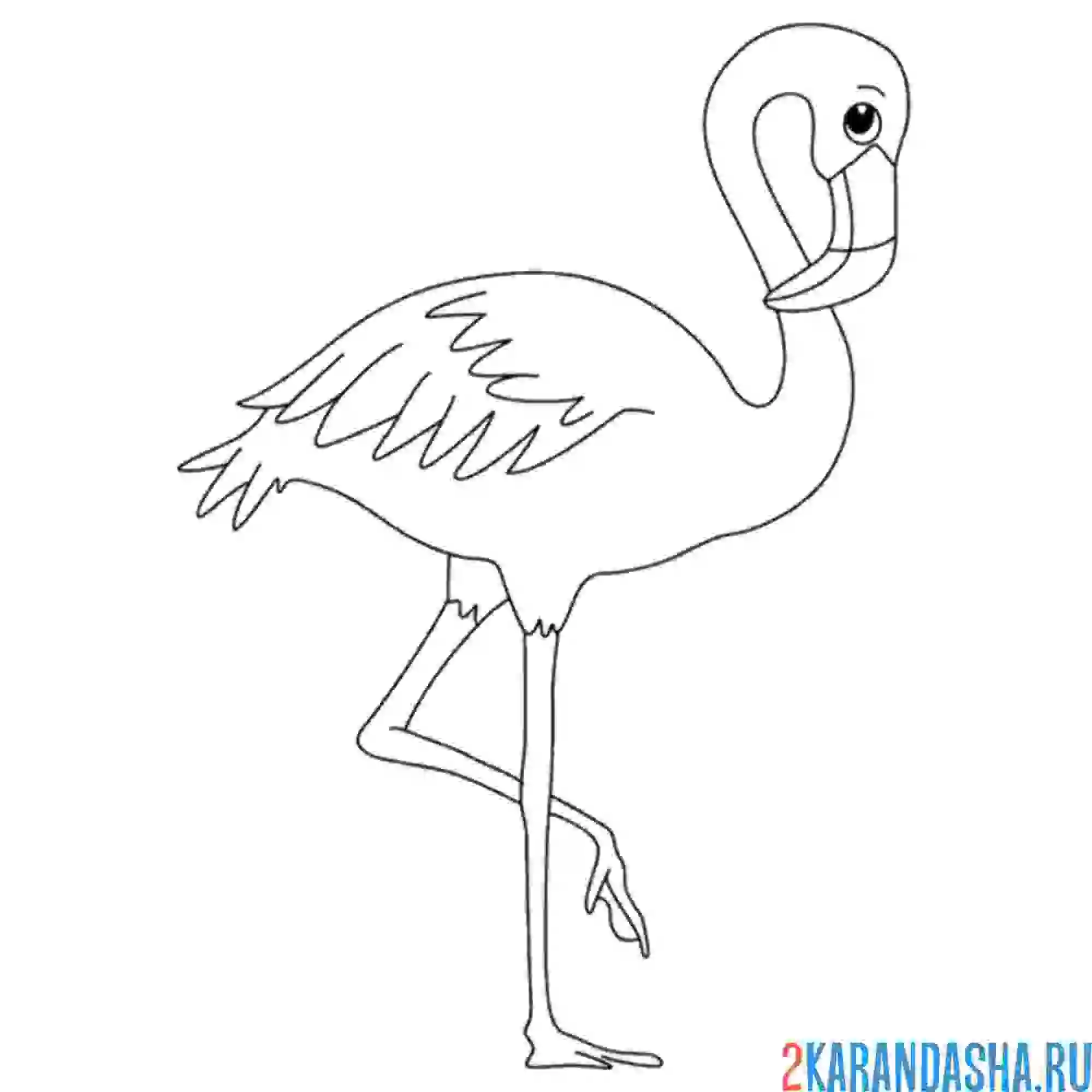 Раскраска фламинго опустил голову
