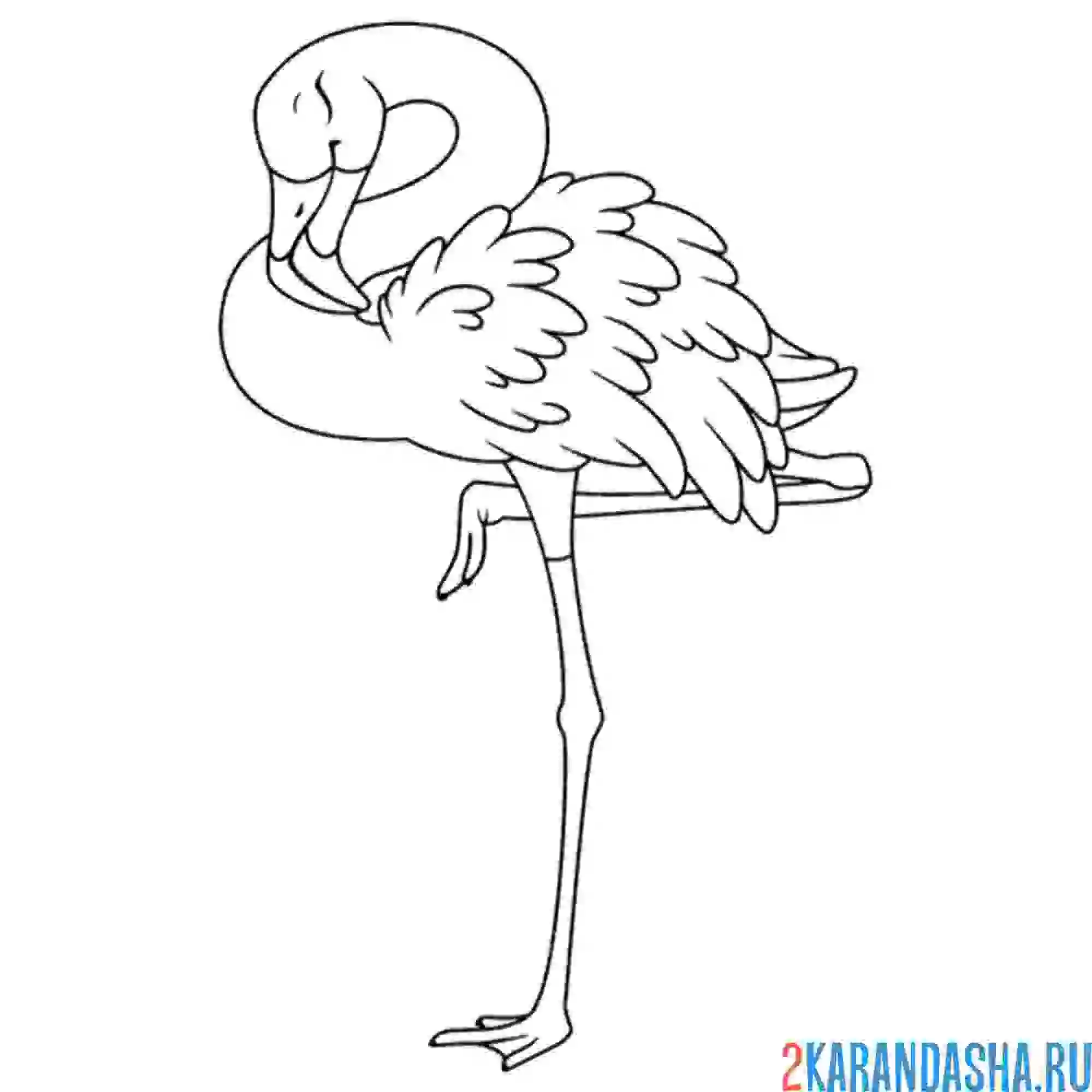 Раскраска фламинго спит