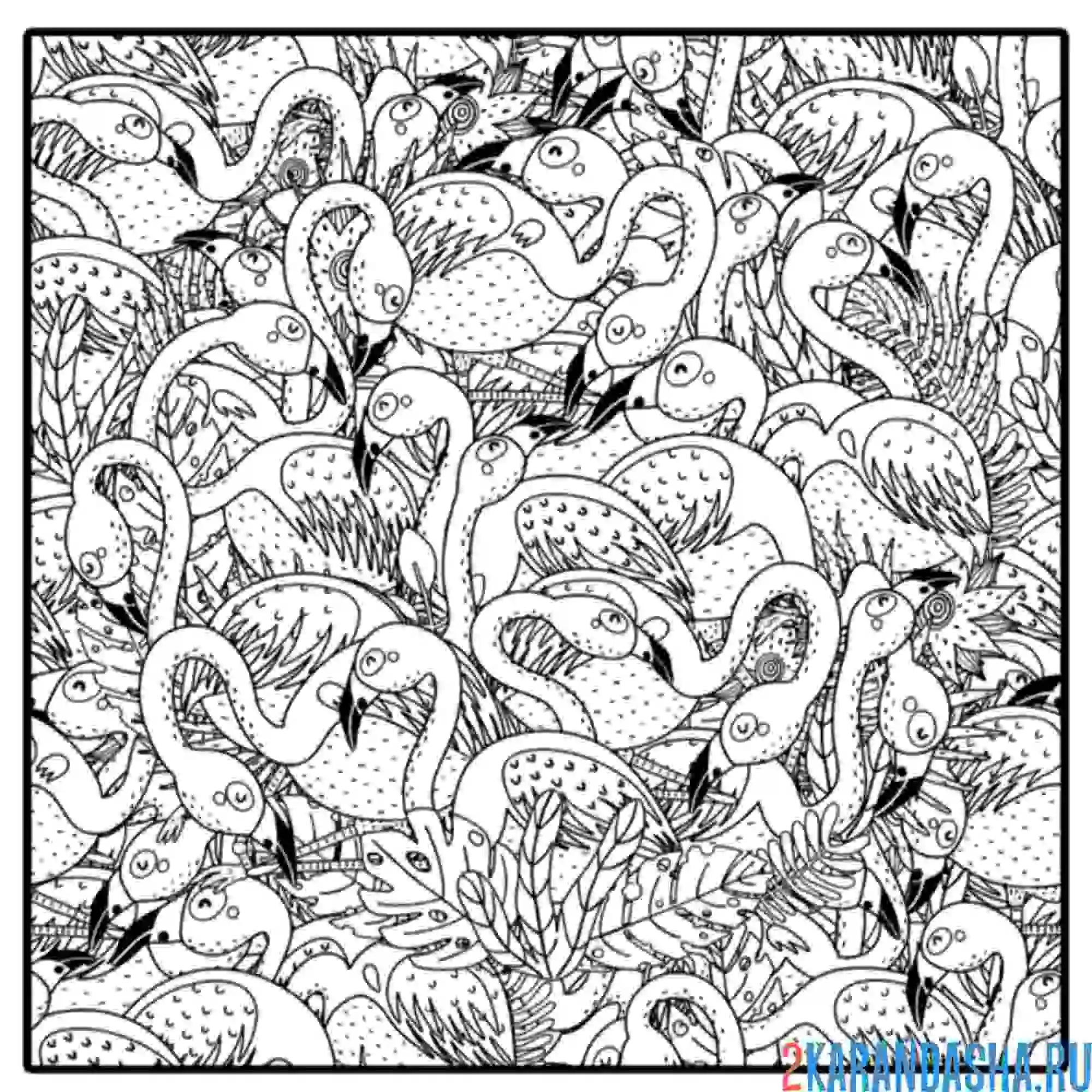 Раскраска арт-фламинго