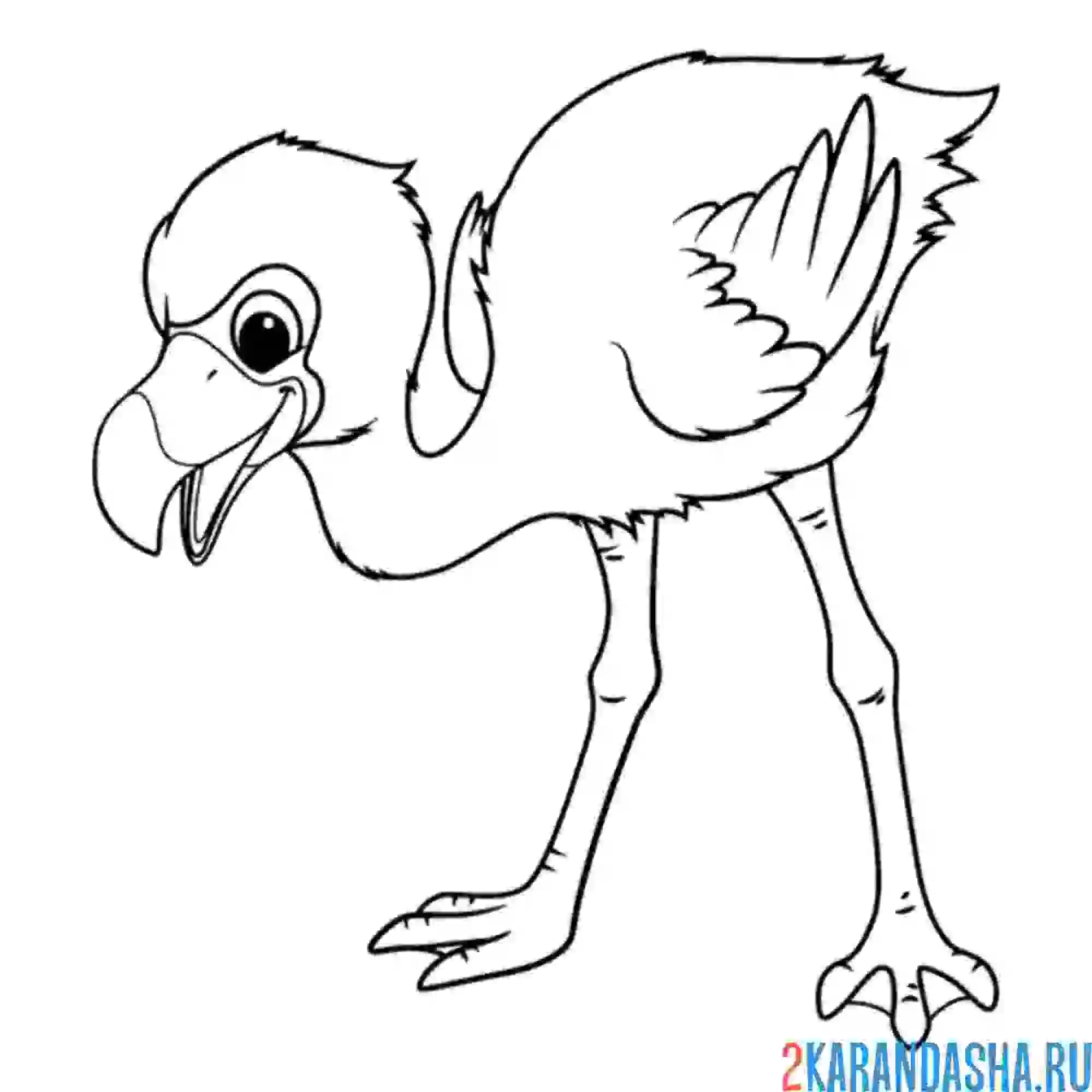 Раскраска детеныш птенец фламинго