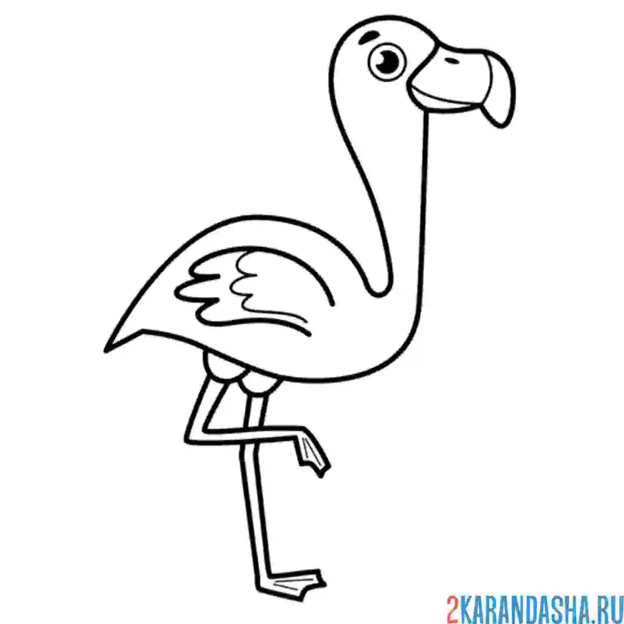 Раскраска фламинго стоит на левой лапке