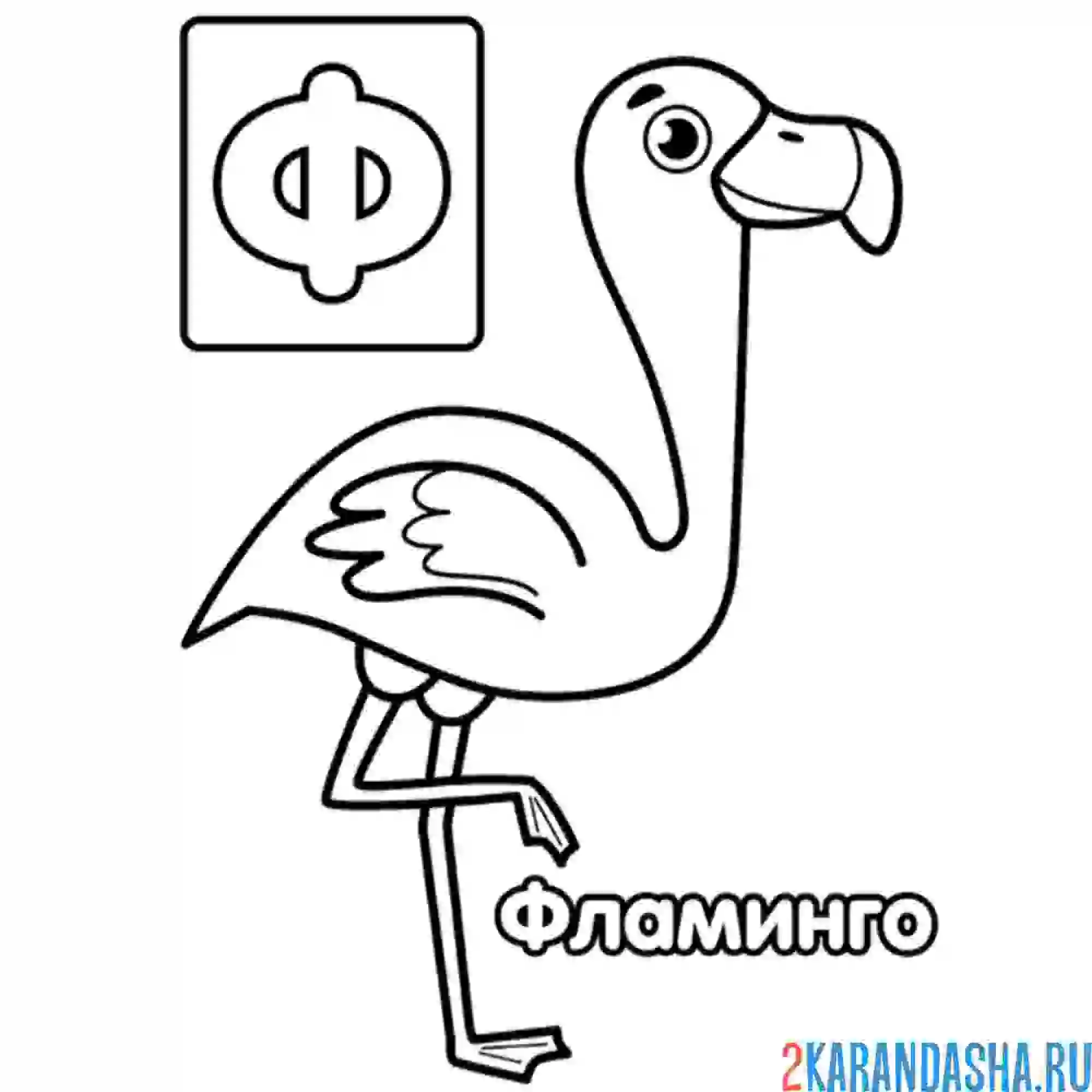 Раскраска буква ф фламинго