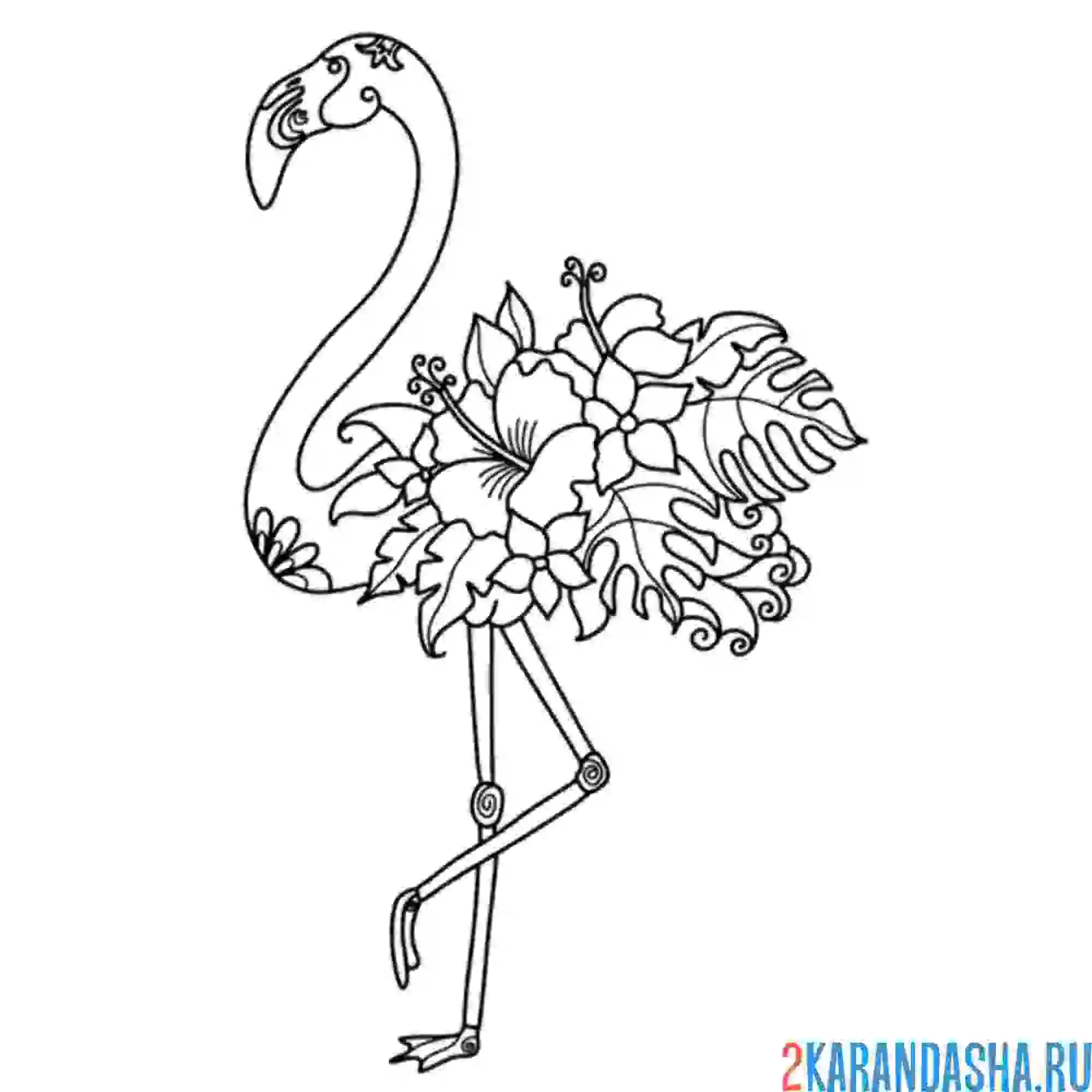 Раскраска цветок на крыльях фламинго
