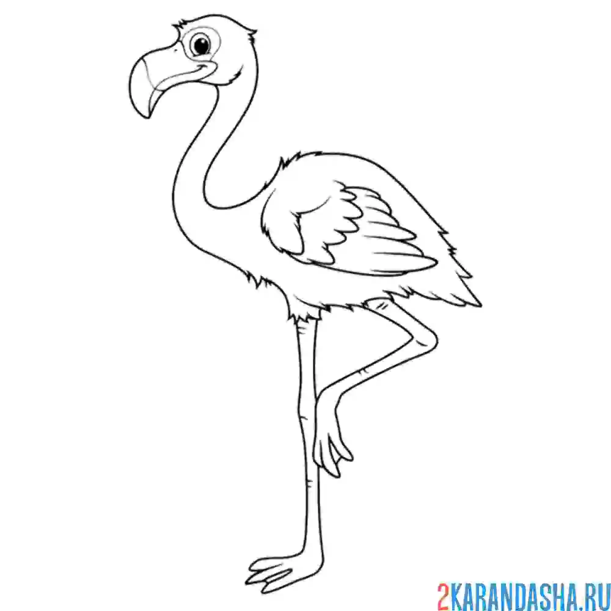 Раскраска очень симпатичный фламинго