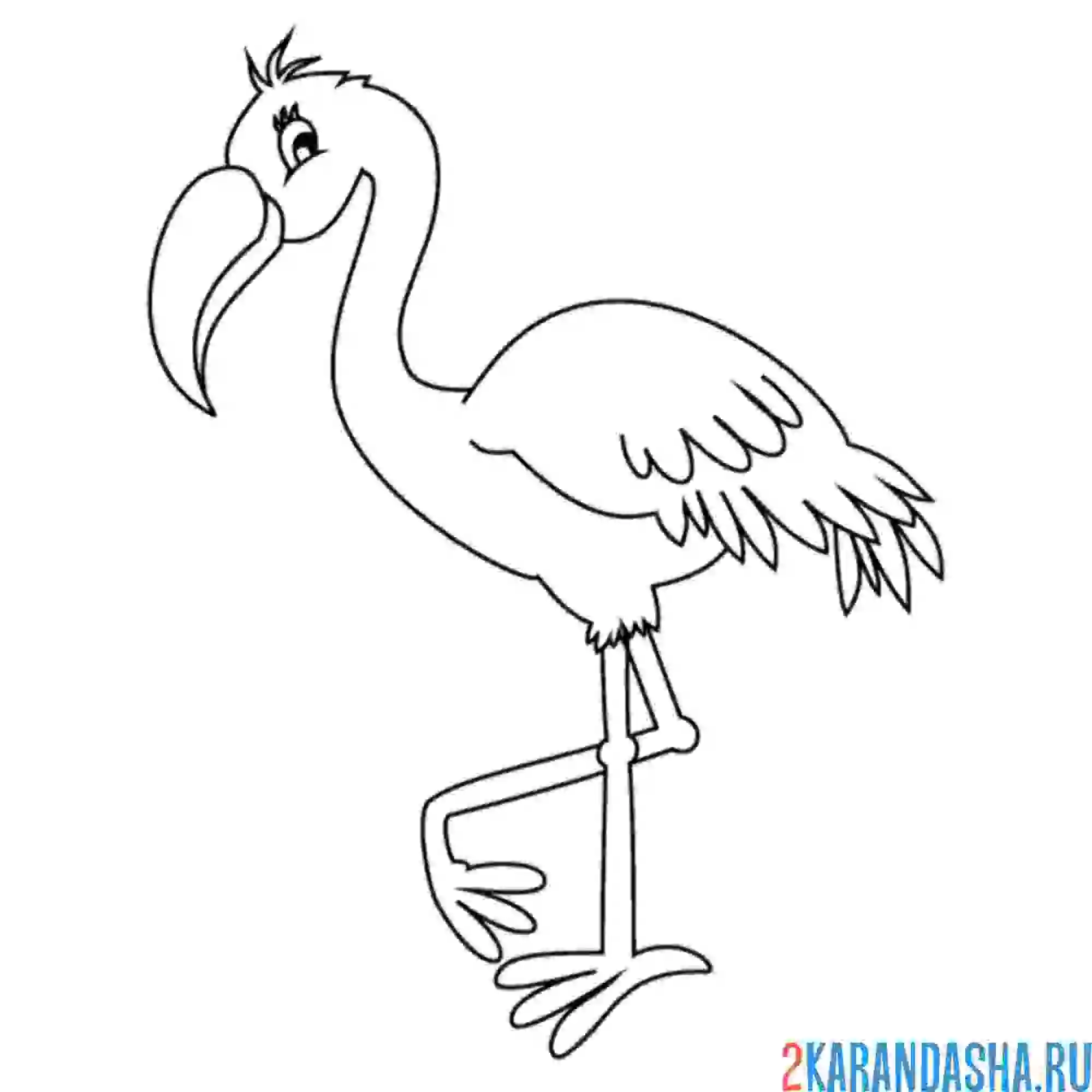 Раскраска хорошенький фламинго