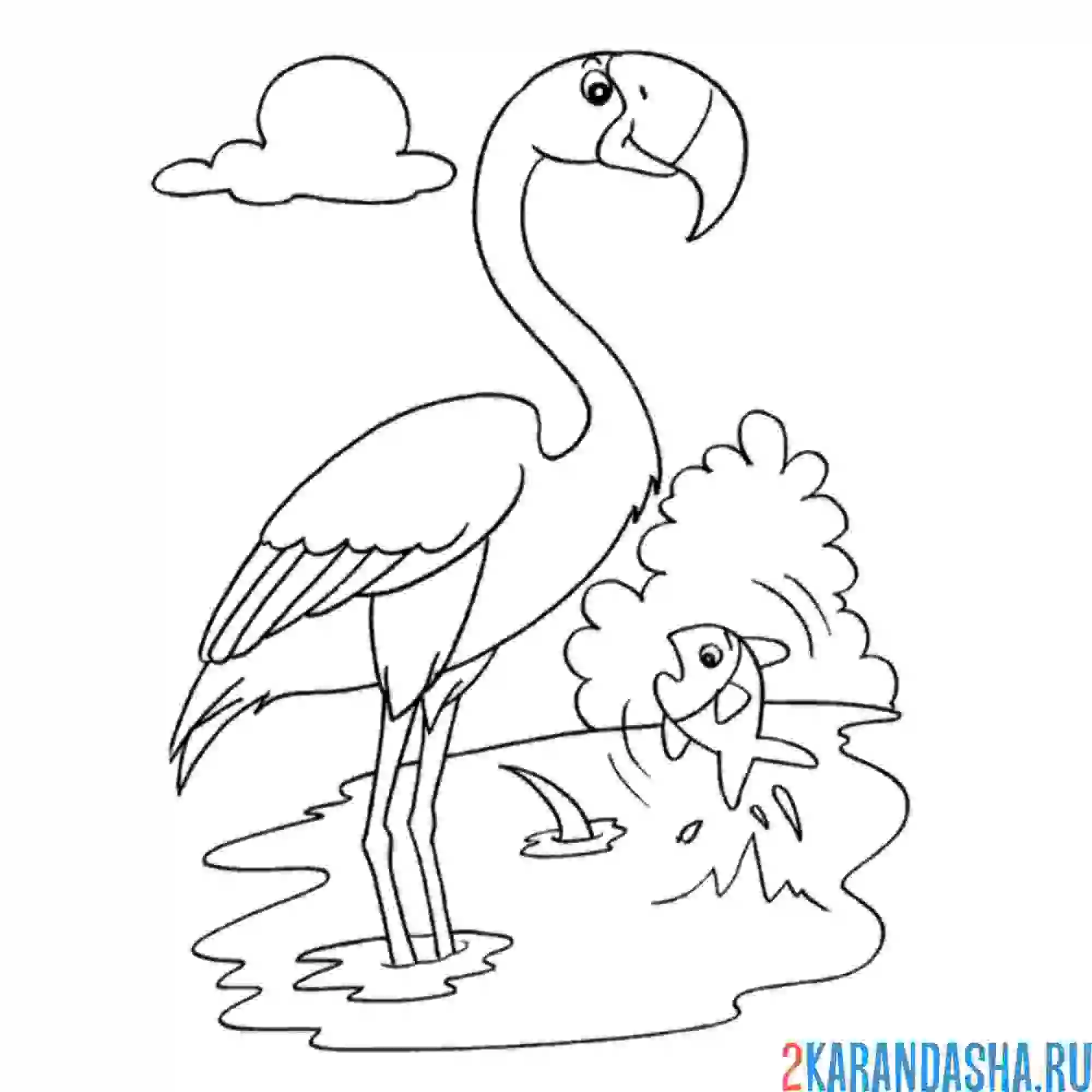 Раскраска фламинго ловит рыбу