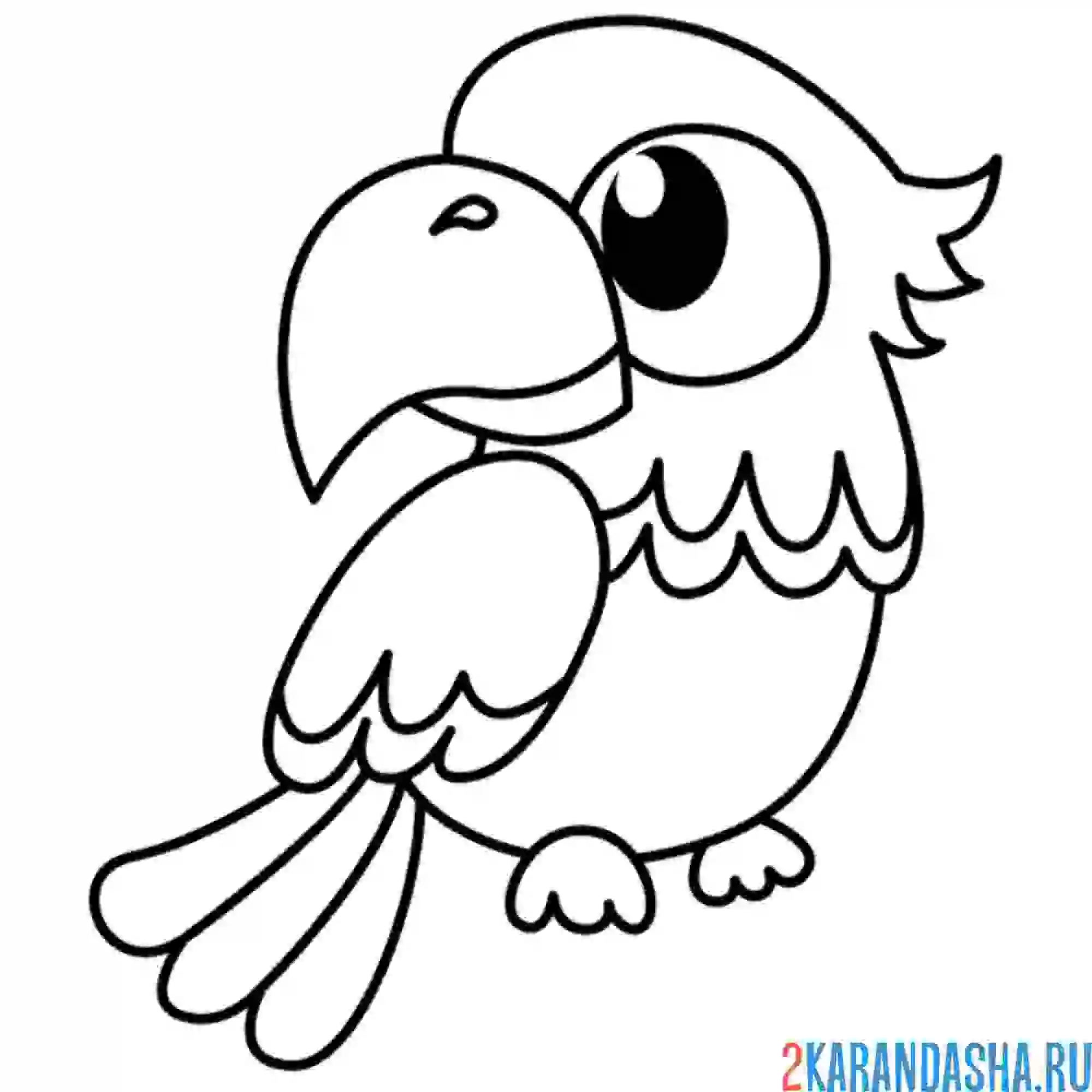 Раскраска забавный попугайчик