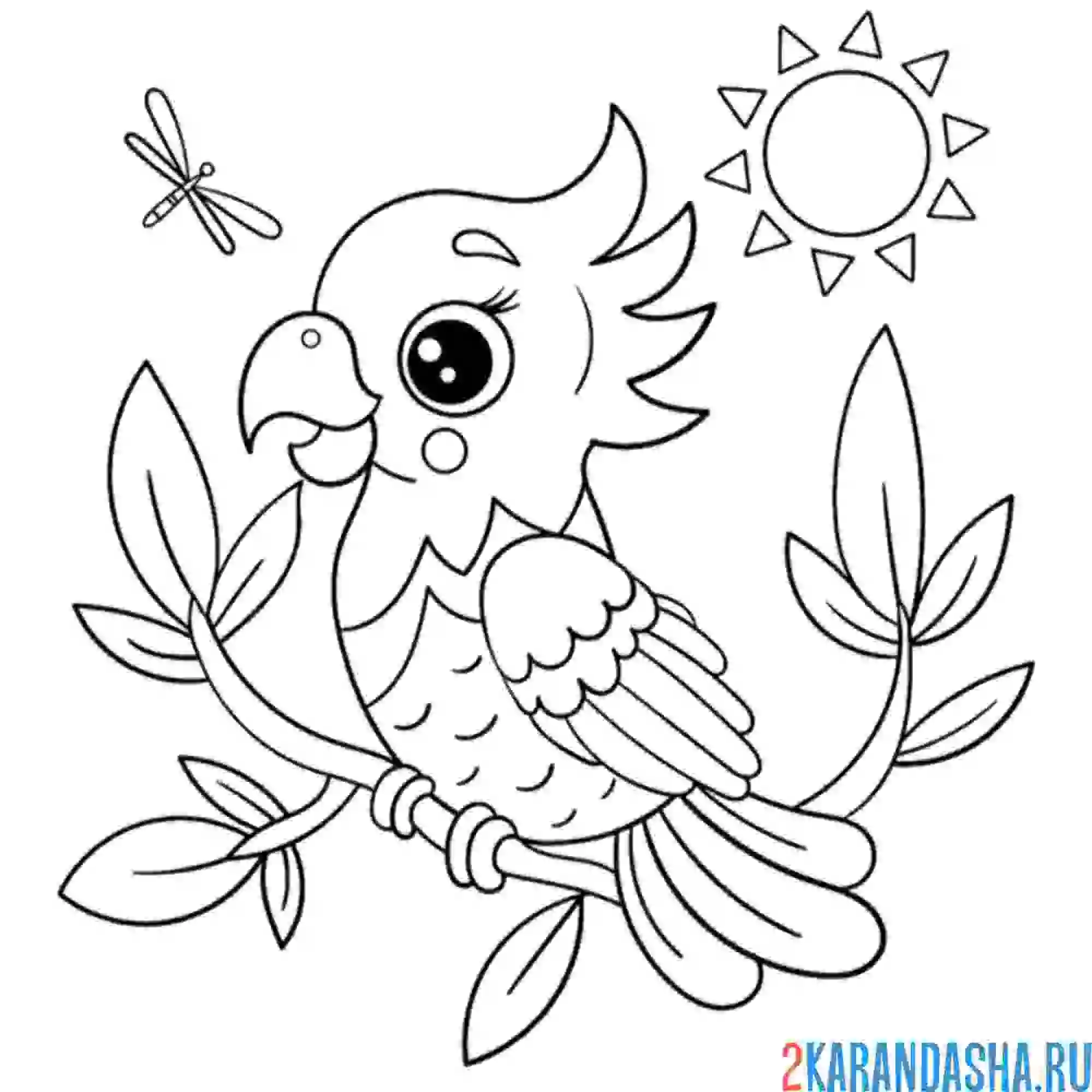 Раскраска попугай для малышей