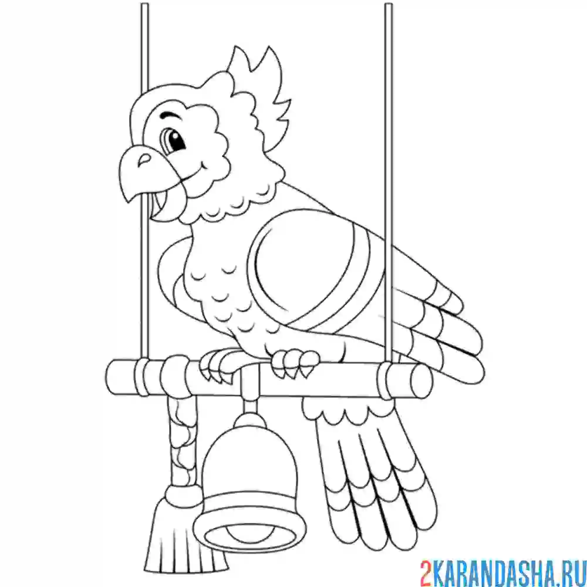 Раскраска попугай на качельках