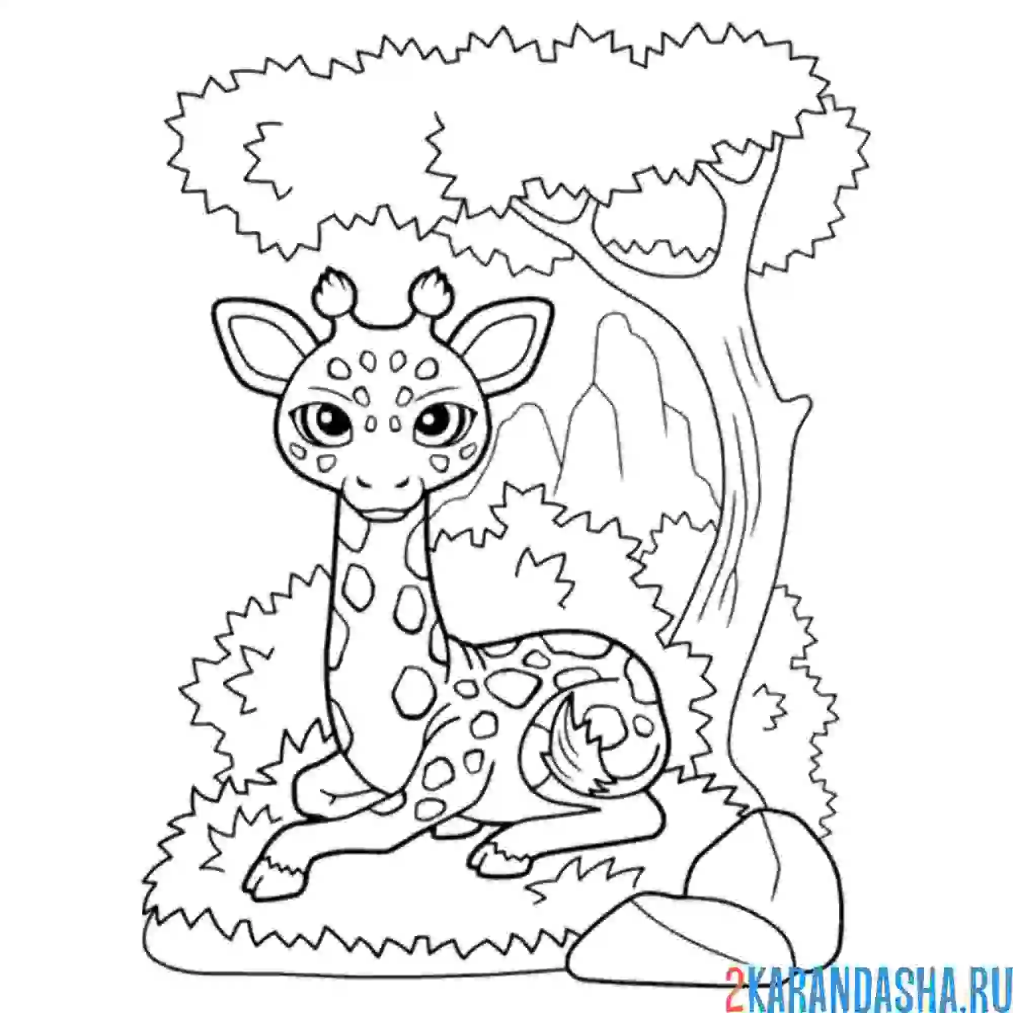 Раскраска жираф в лесу