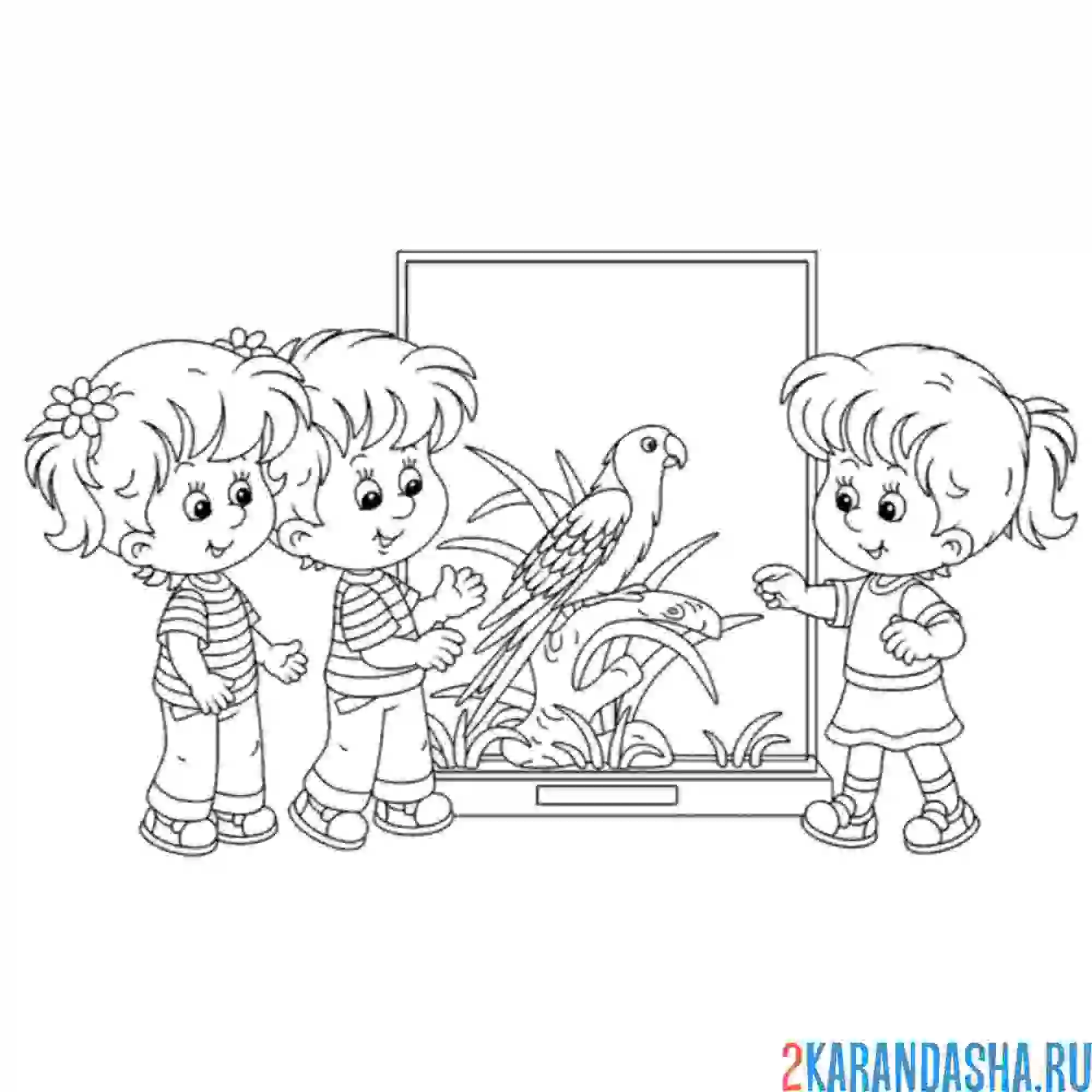 Раскраска детишки смотрят на попугая
