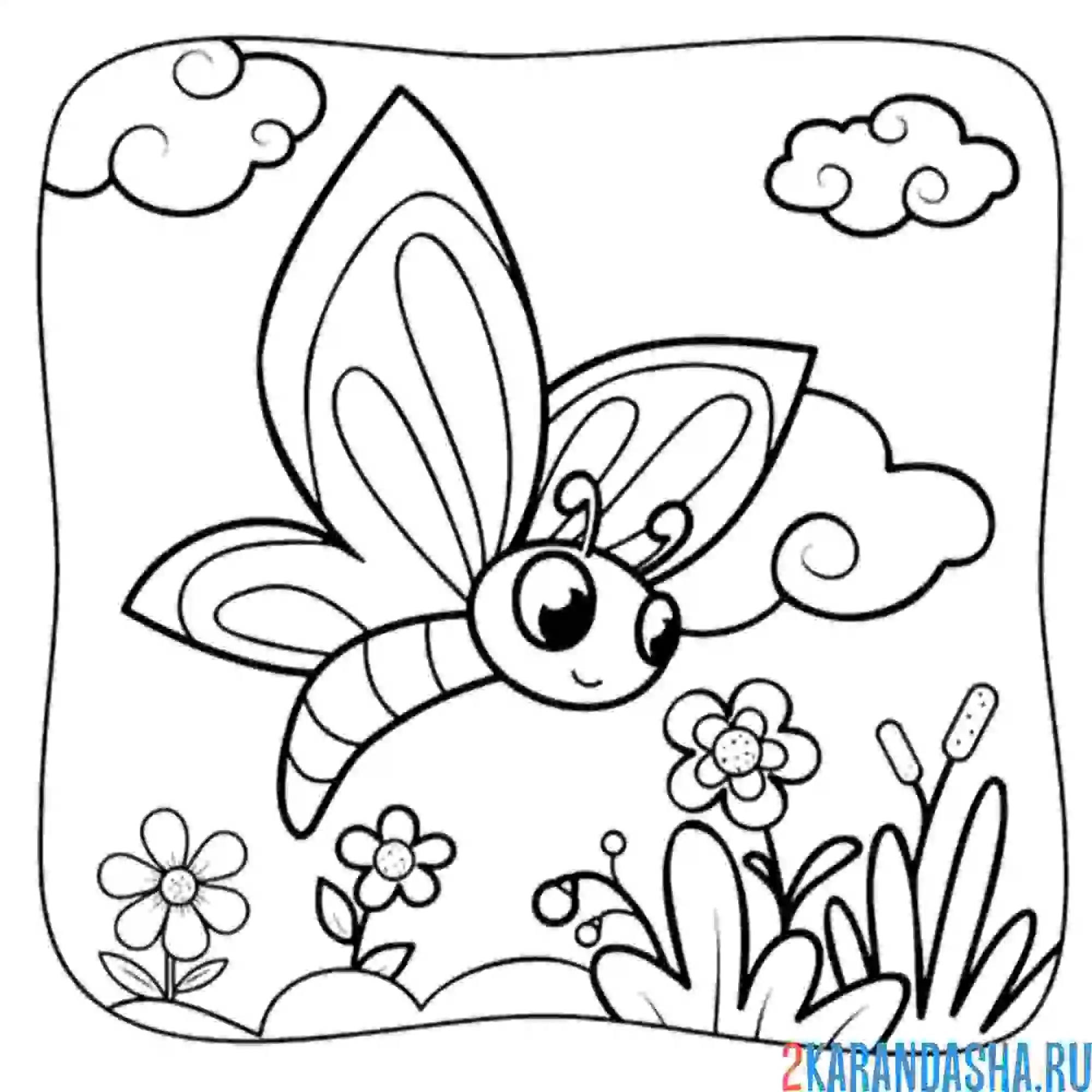 Раскраска бабочка в поле