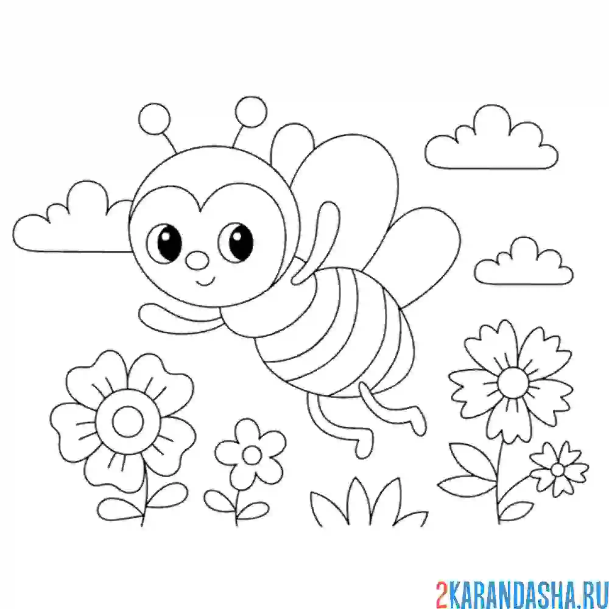 Раскраска бабочка над цветком