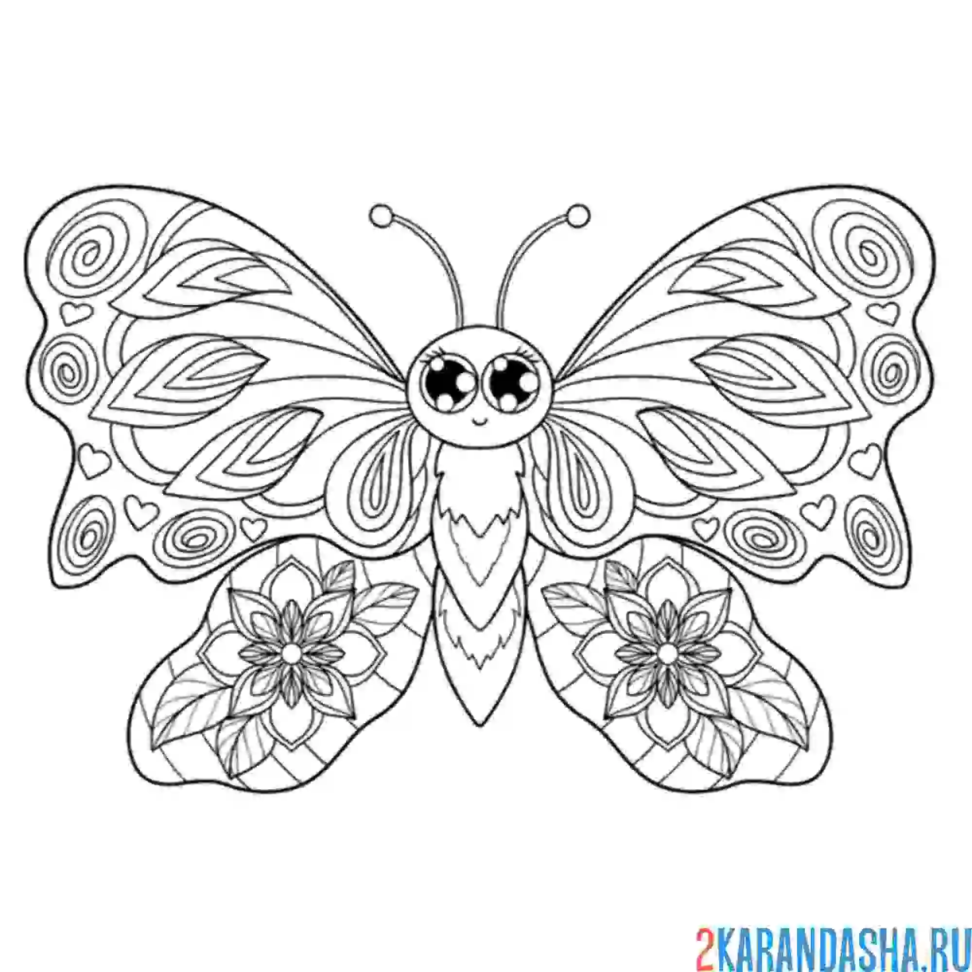 Раскраска необычная бабочка с узорами