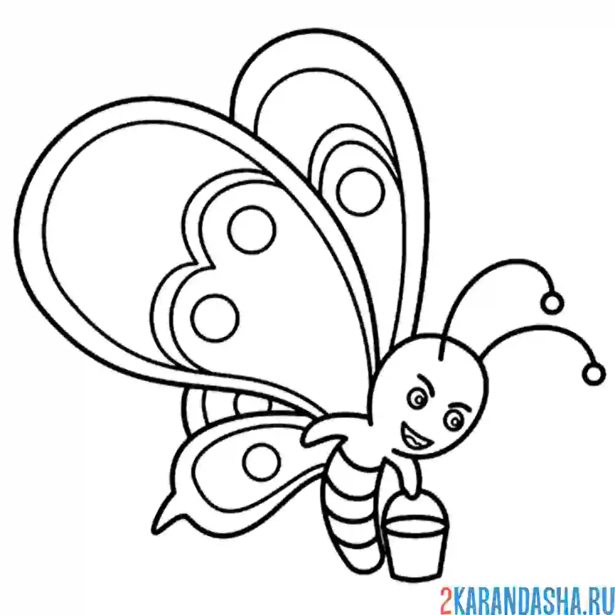 Раскраска бабочка с ведерком