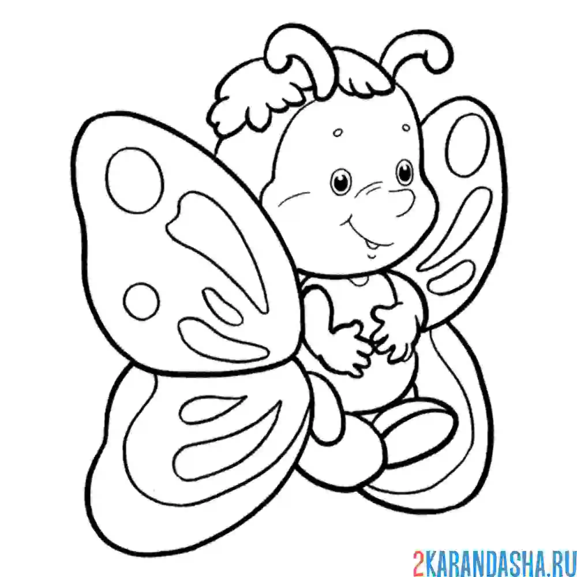 Раскраска бабочка с мордочкой