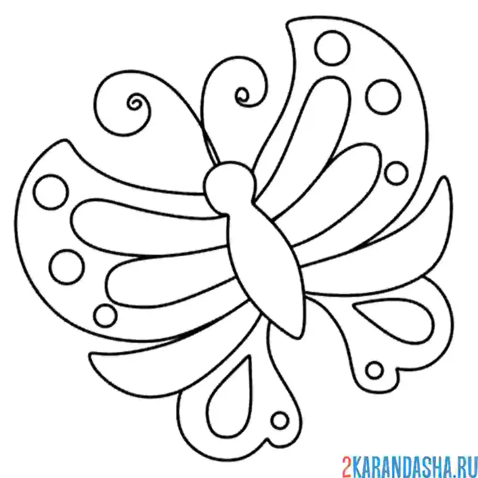 Раскраска бабочка для детского сада