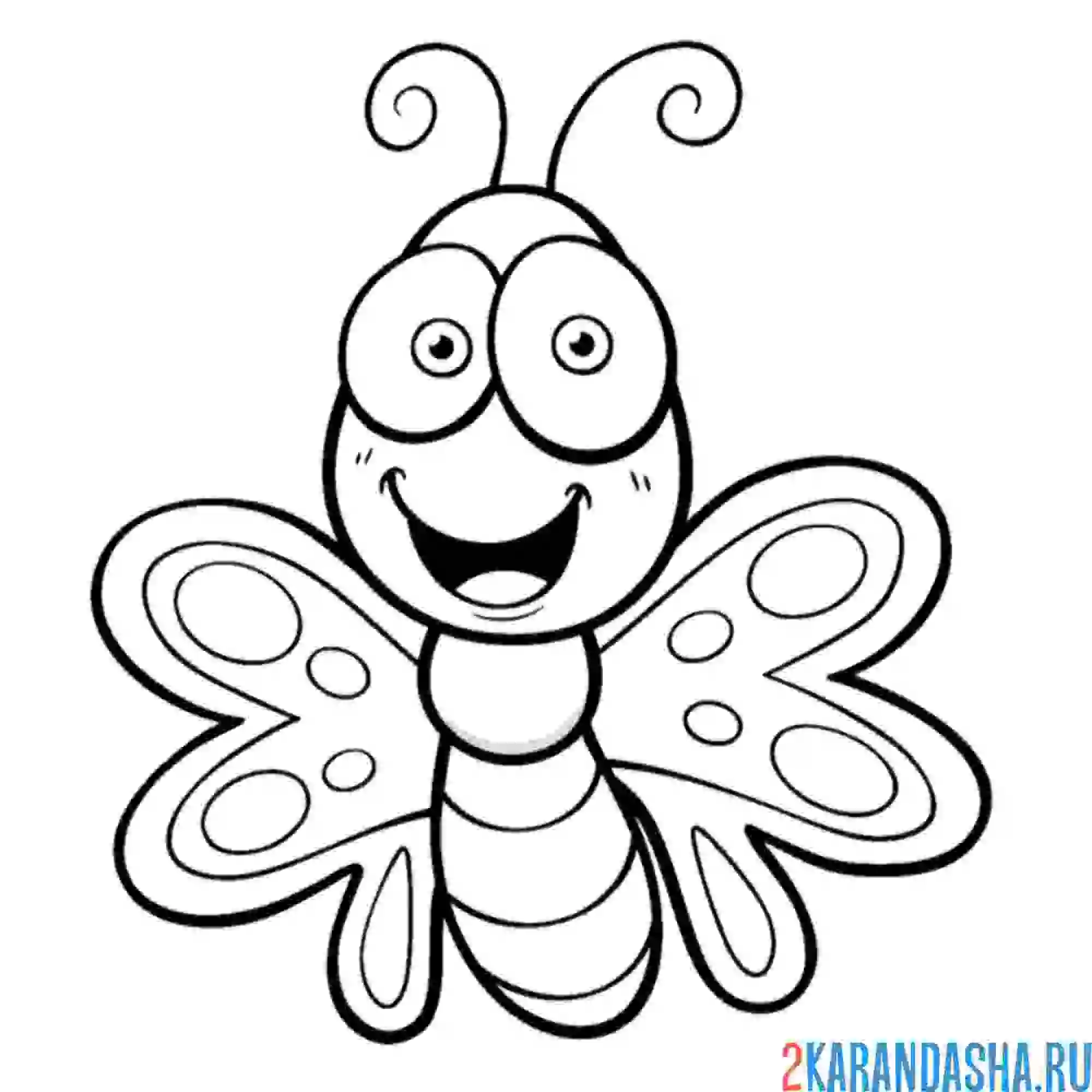 Раскраска счастливая бабочка