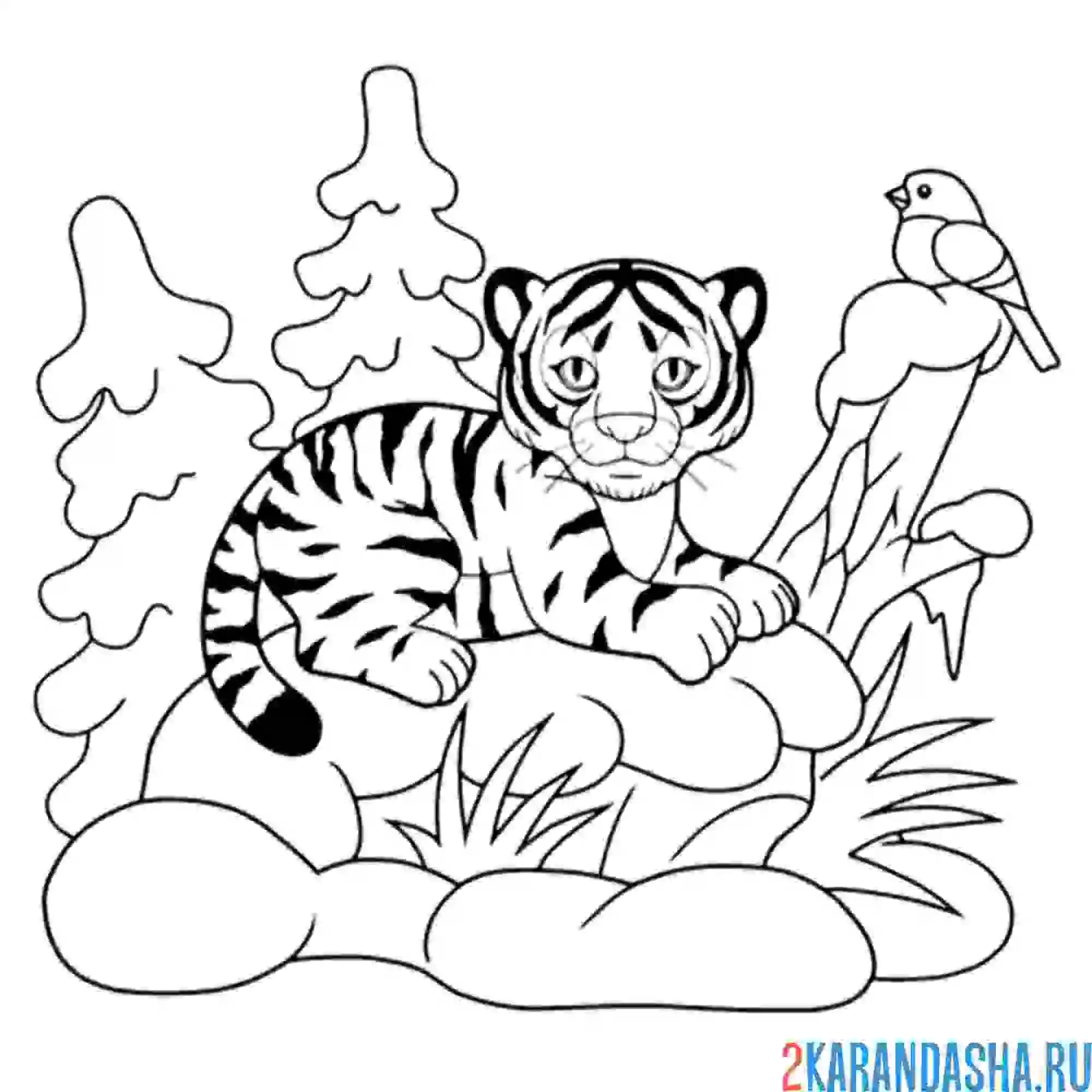Раскраска тигр в зимнем лесу