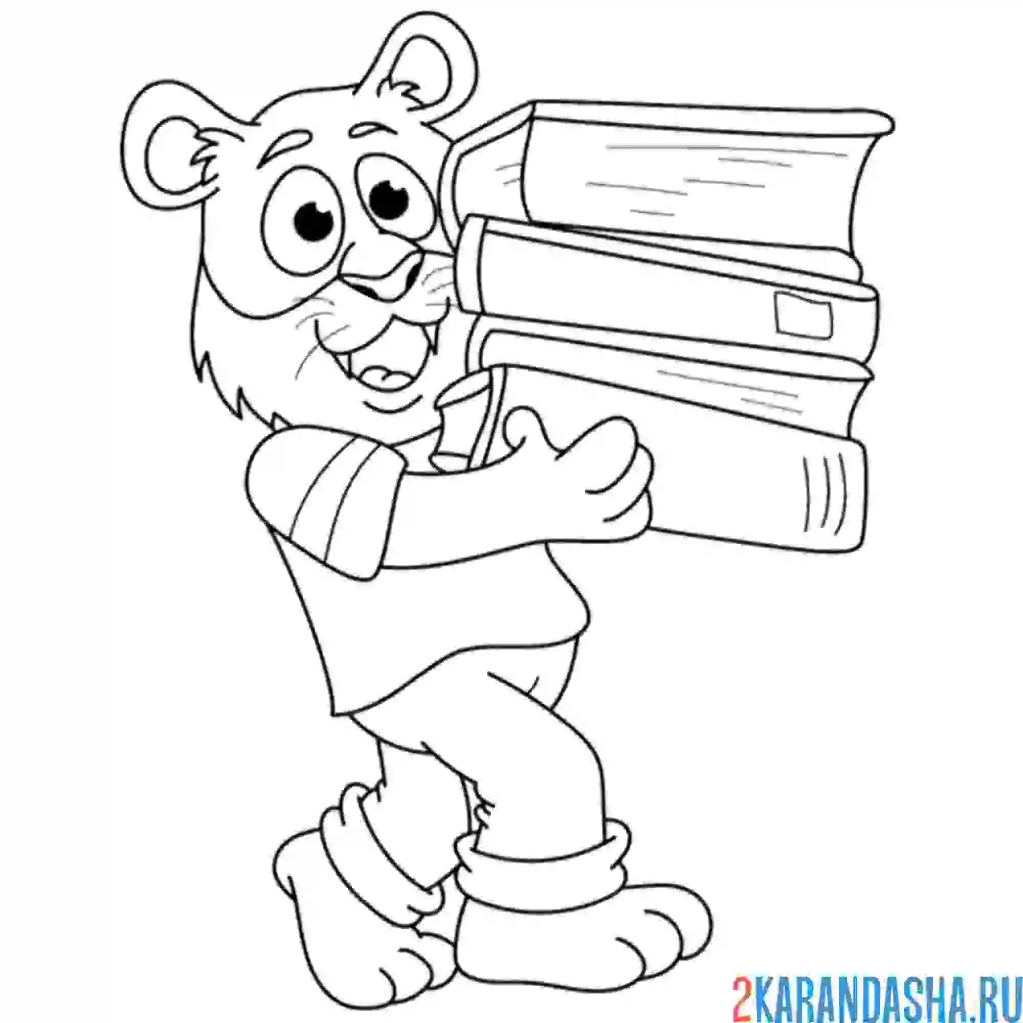 Раскраска тигр с учебниками